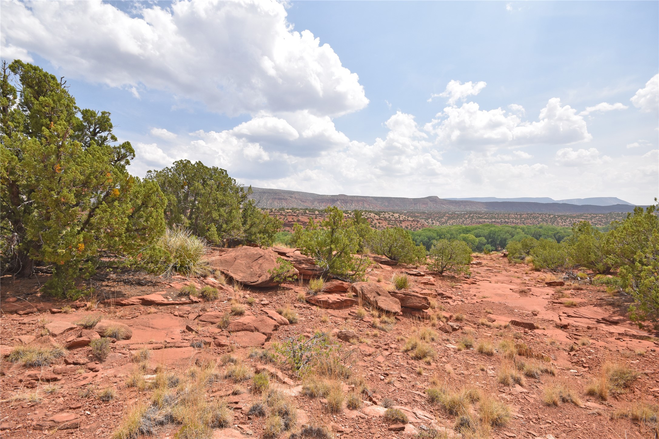 Lot 21 Highway 485