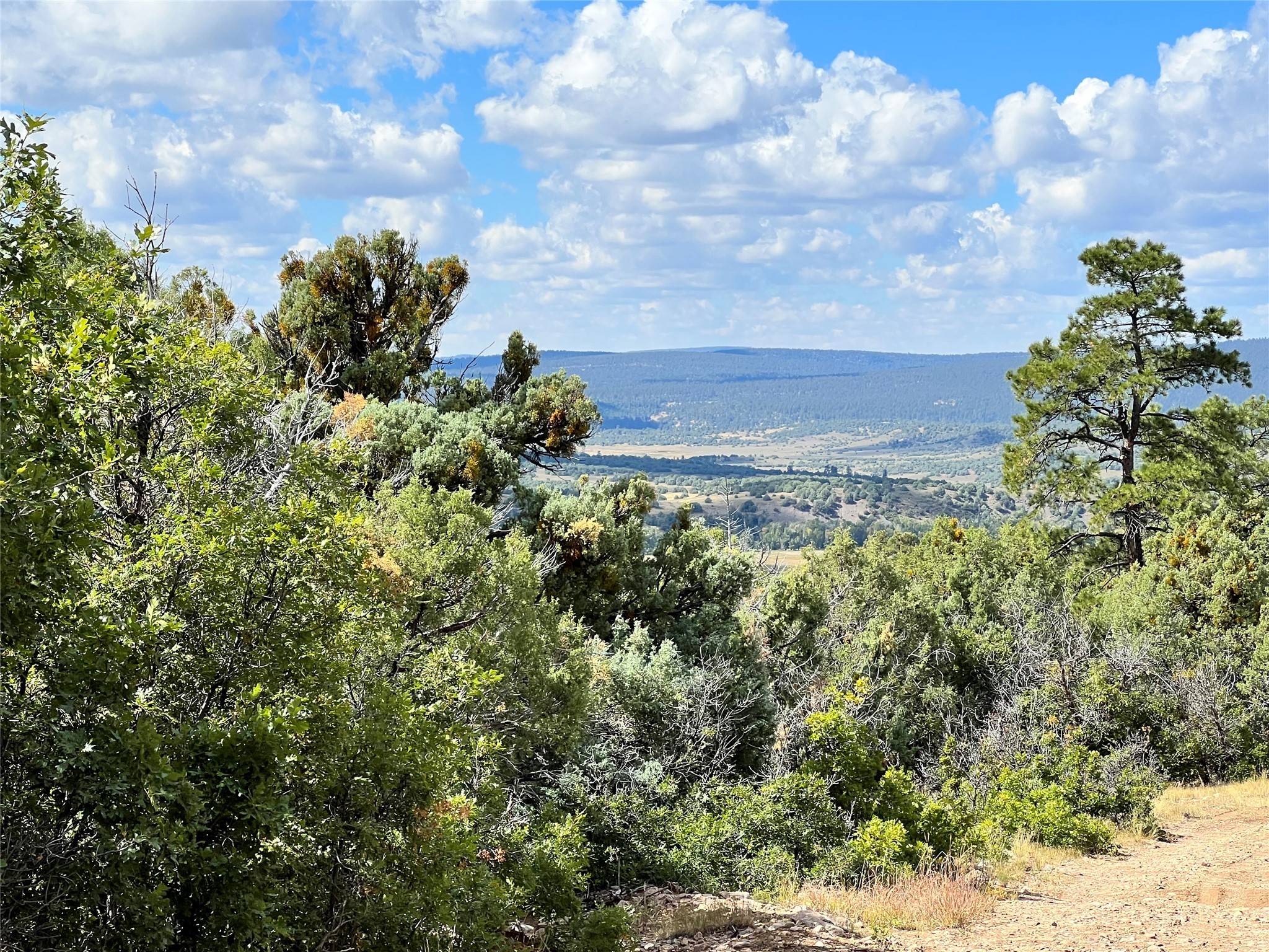 TBD U-1, T-7, Ponderosa