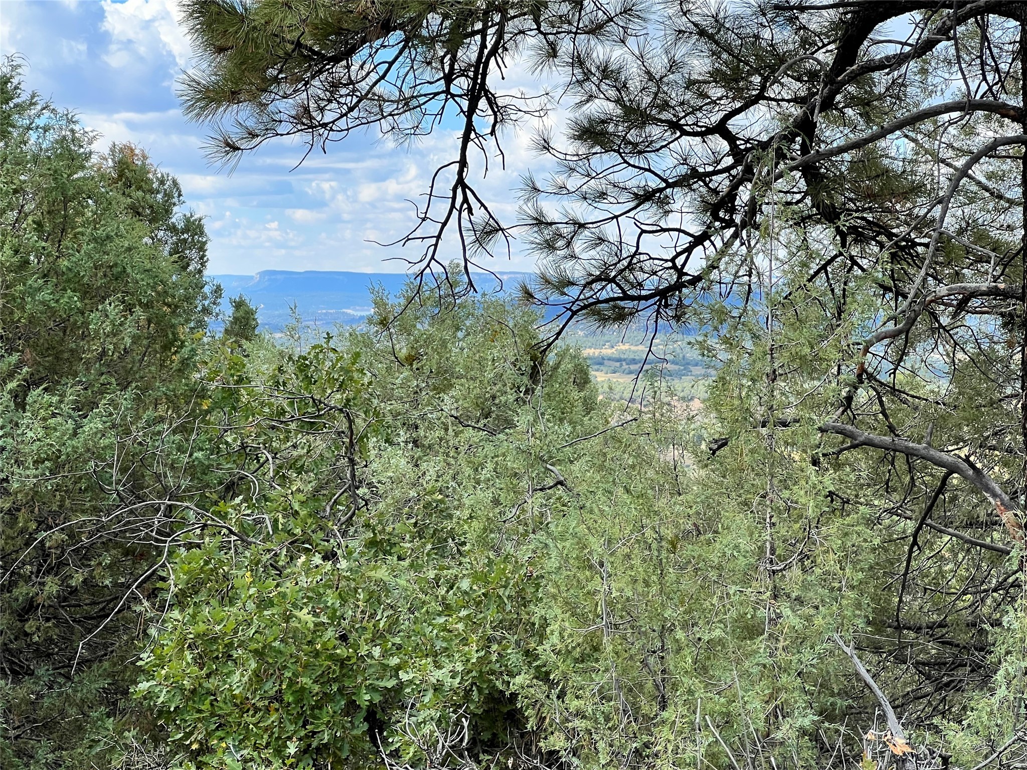 TBD U-1, T-7, Ponderosa