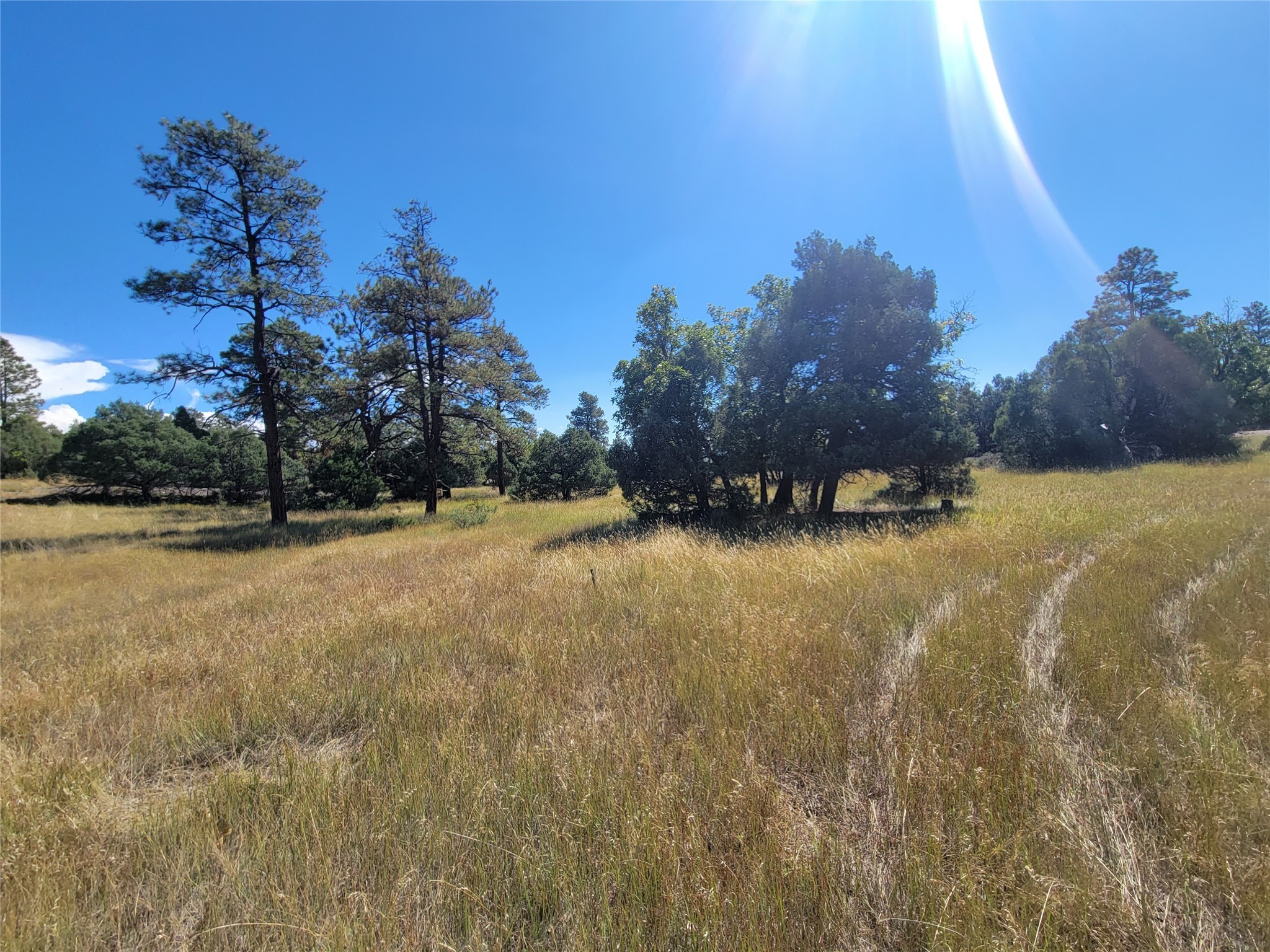 Lot 64 Rim Unit: 1