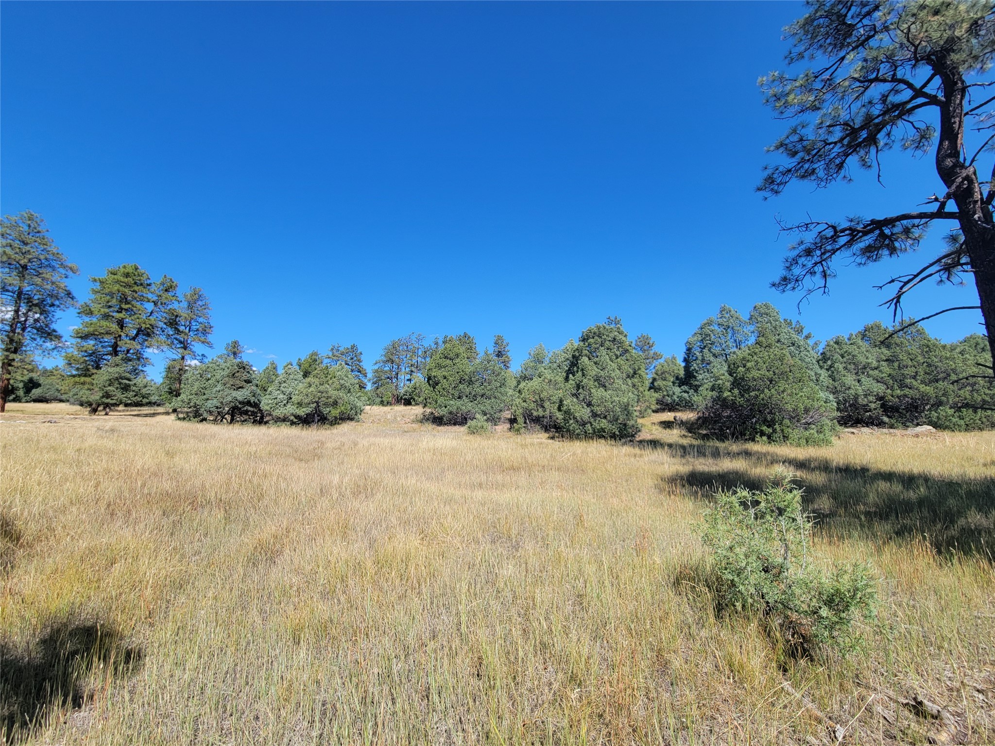 Lot 64 Rim Unit: 1