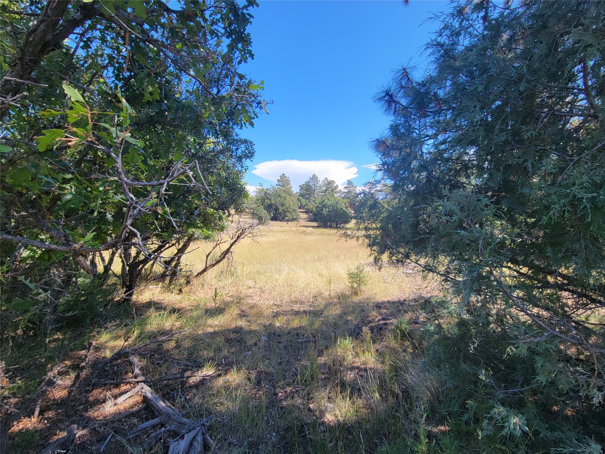 Lot 64 Rim Unit: 1