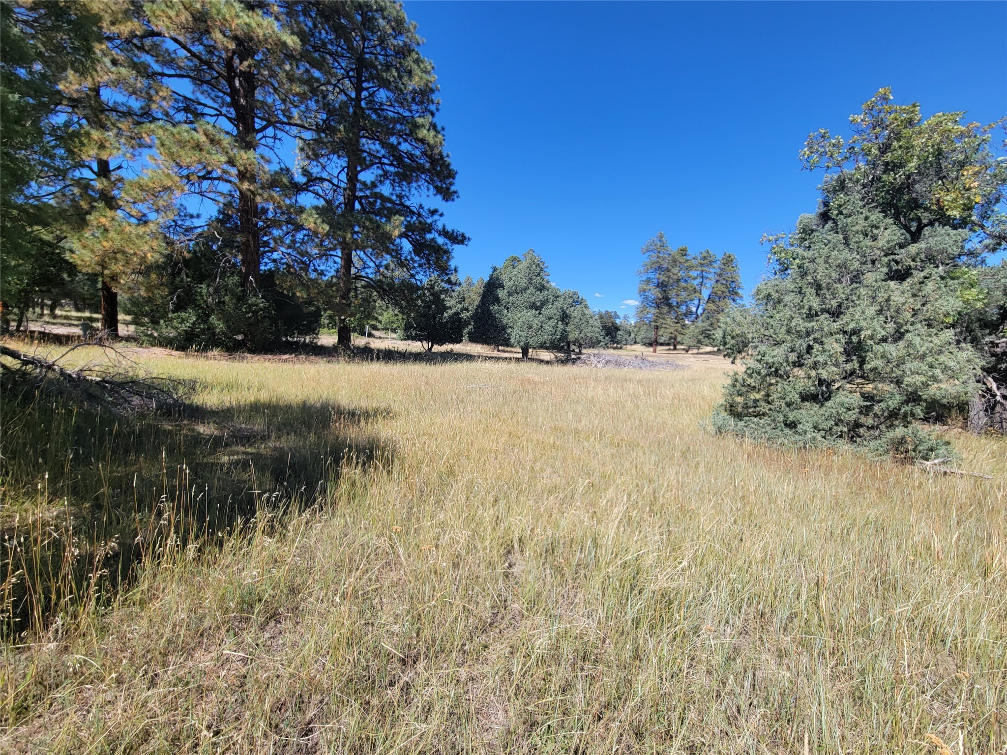 Lot 64 Rim Unit: 1