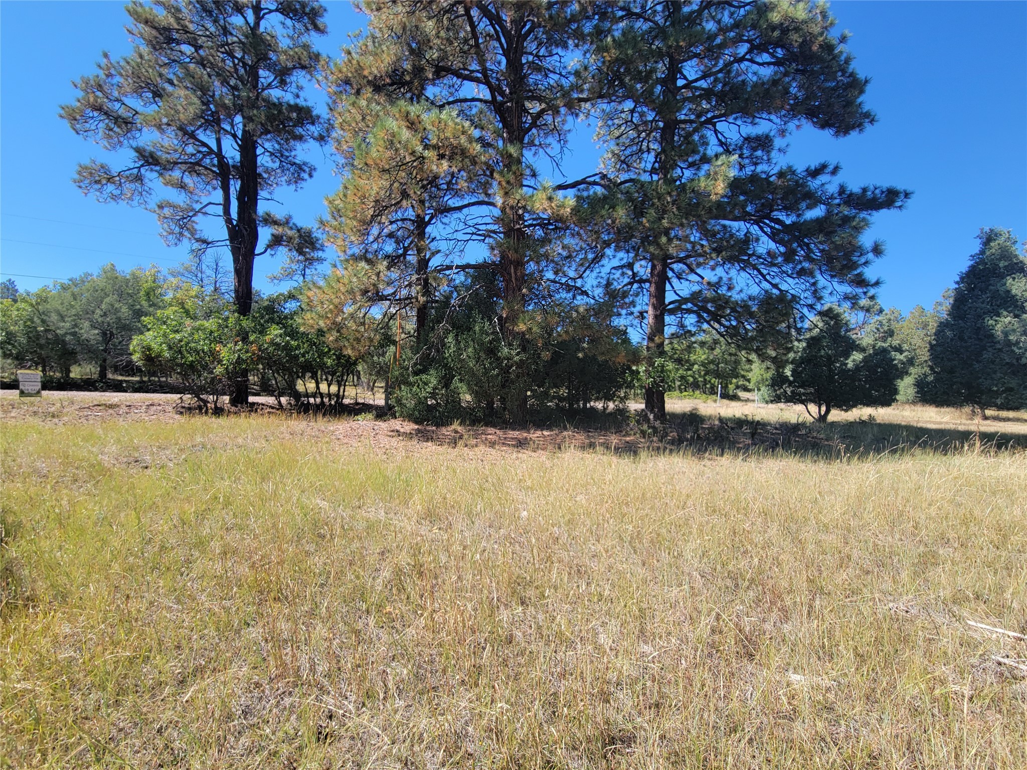 Lot 64 Rim Unit: 1