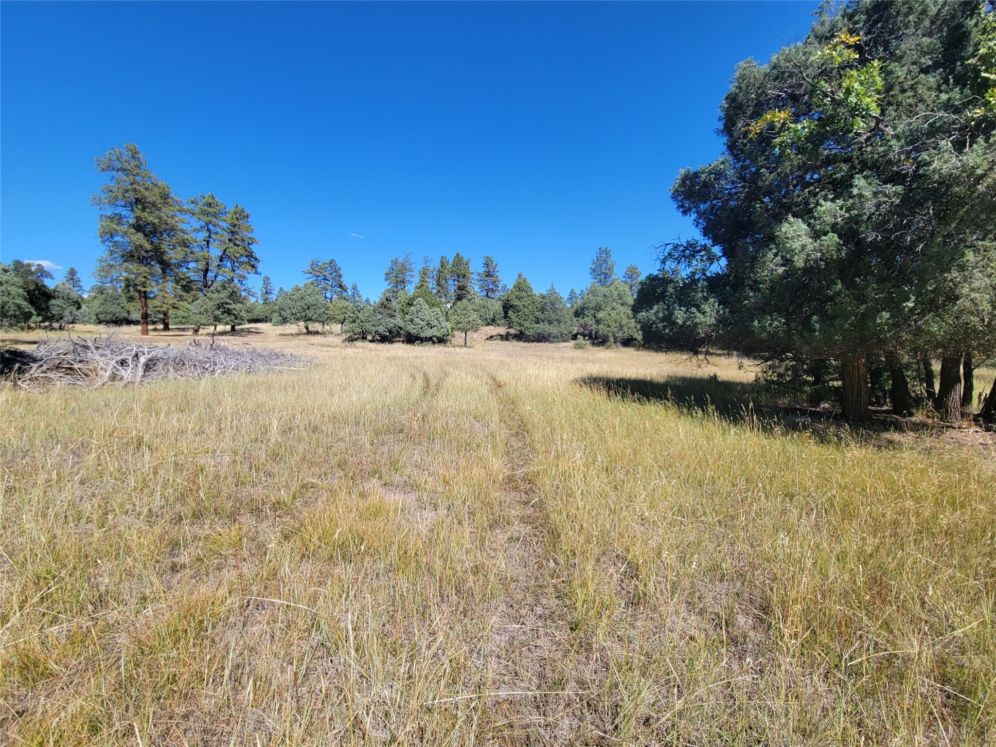 Lot 64 Rim Unit: 1