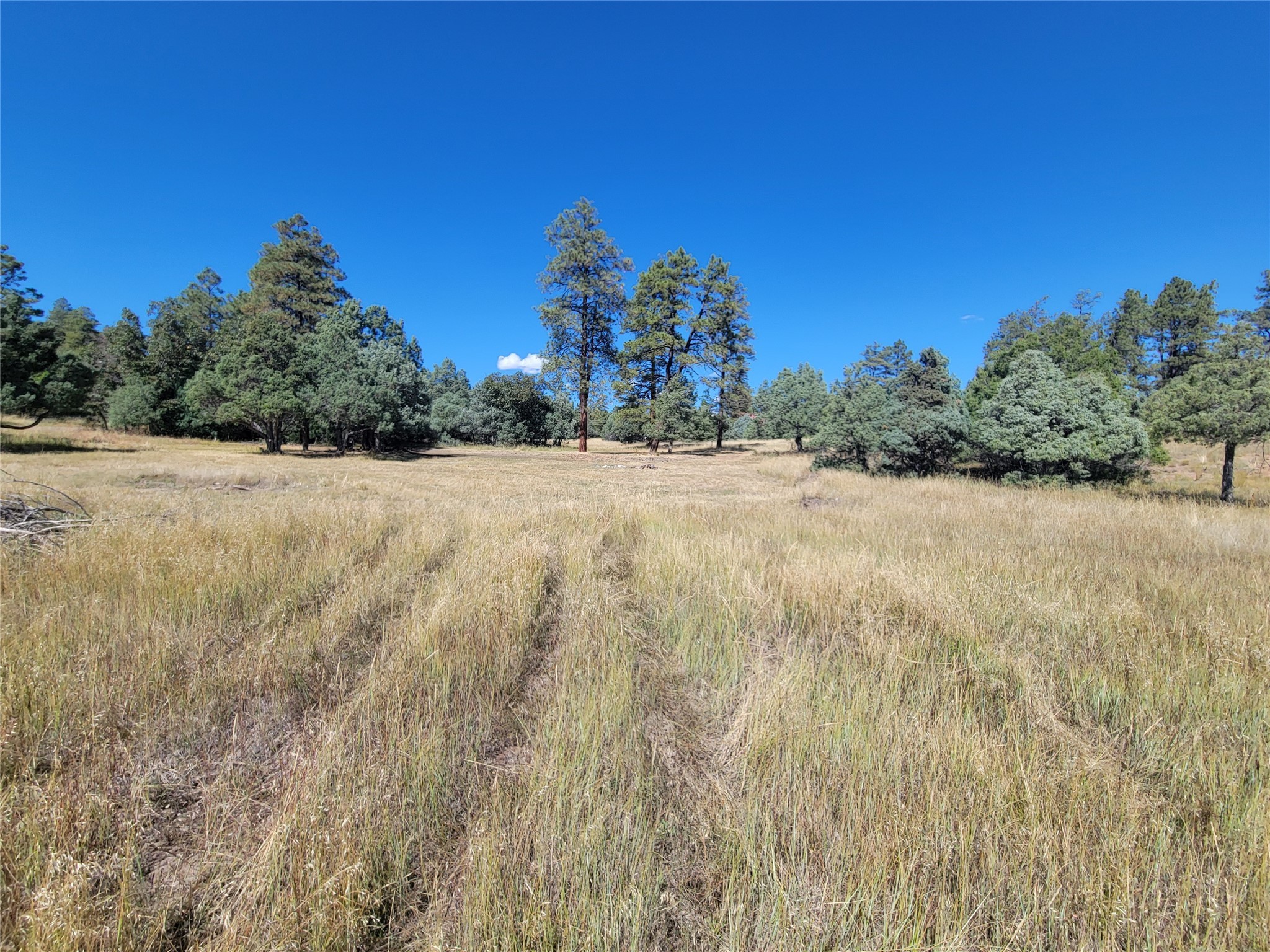Lot 64 Rim Unit: 1