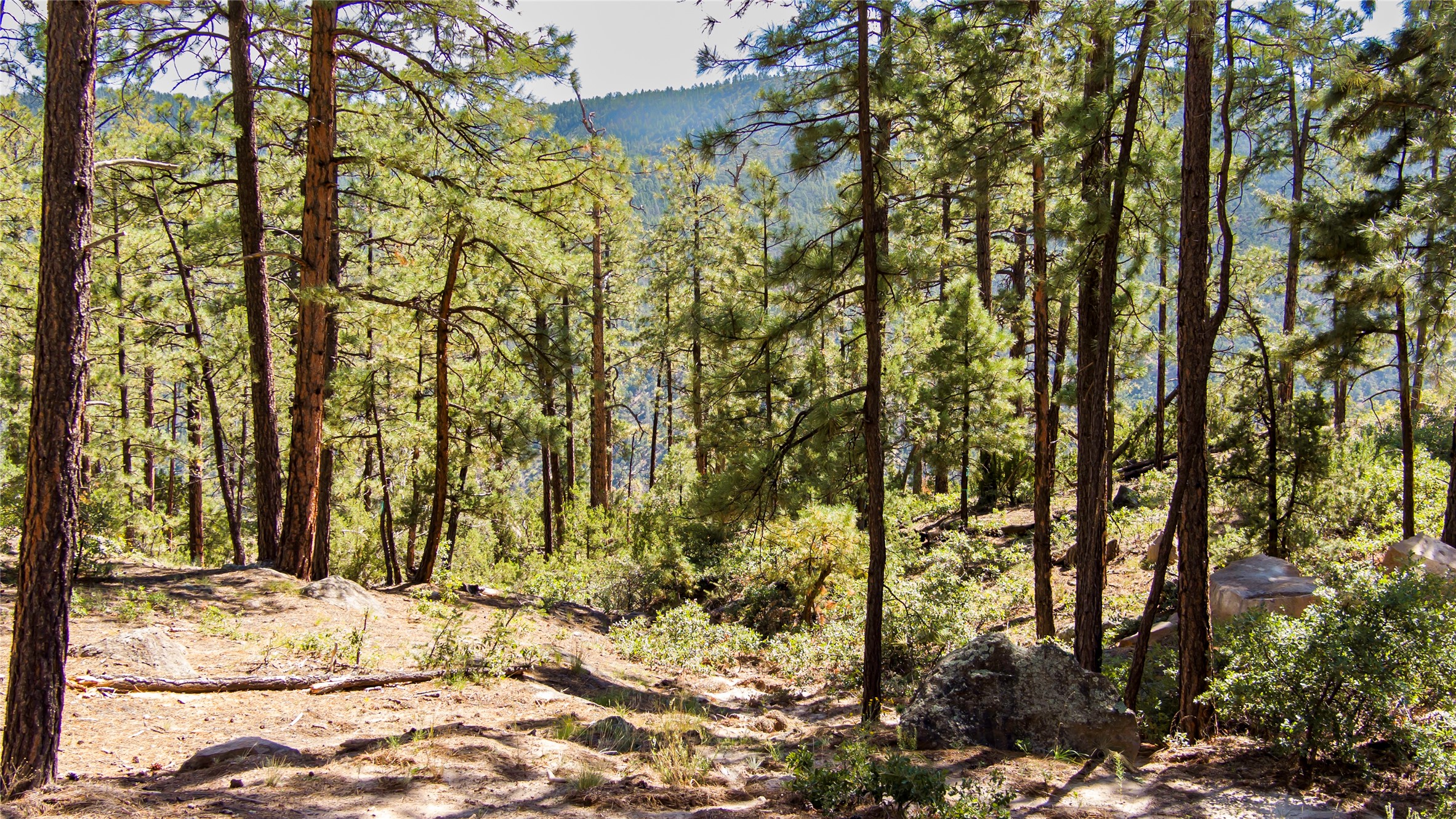 1700 Ponderosa Drive
