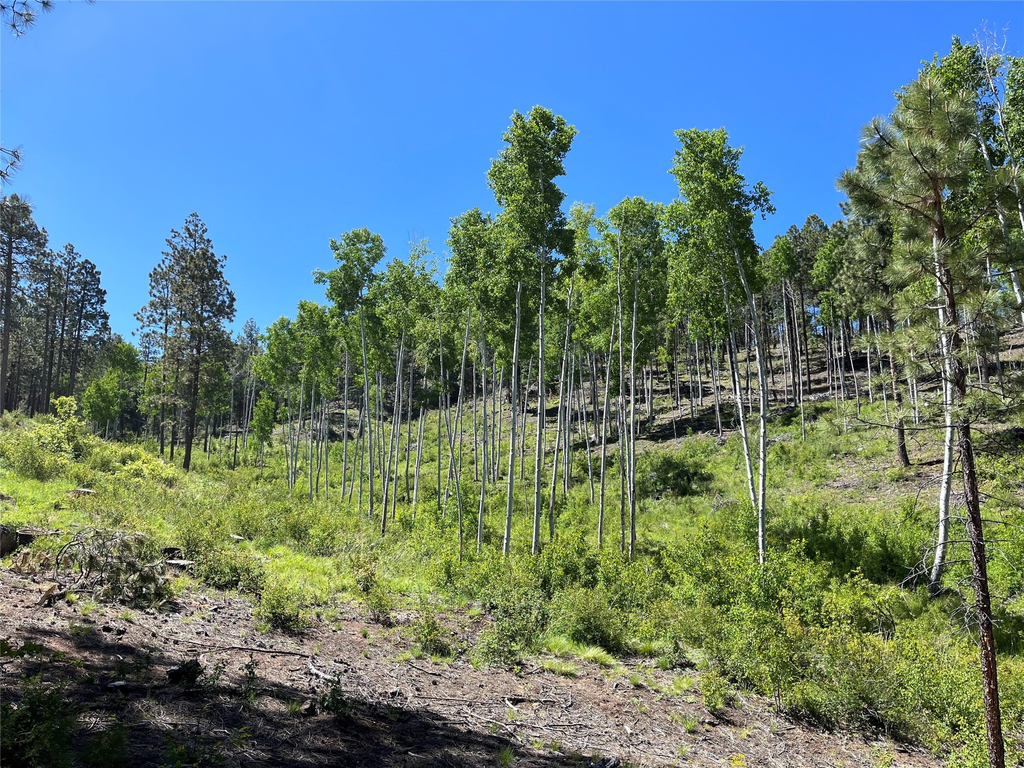 192 Llano de La Legua