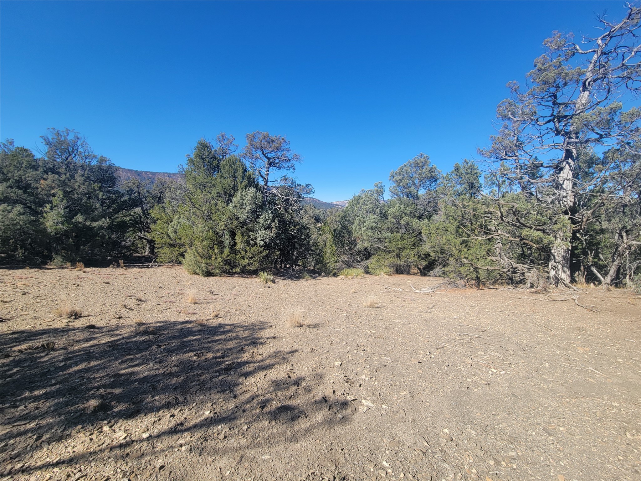 Block 8 Lot 3
