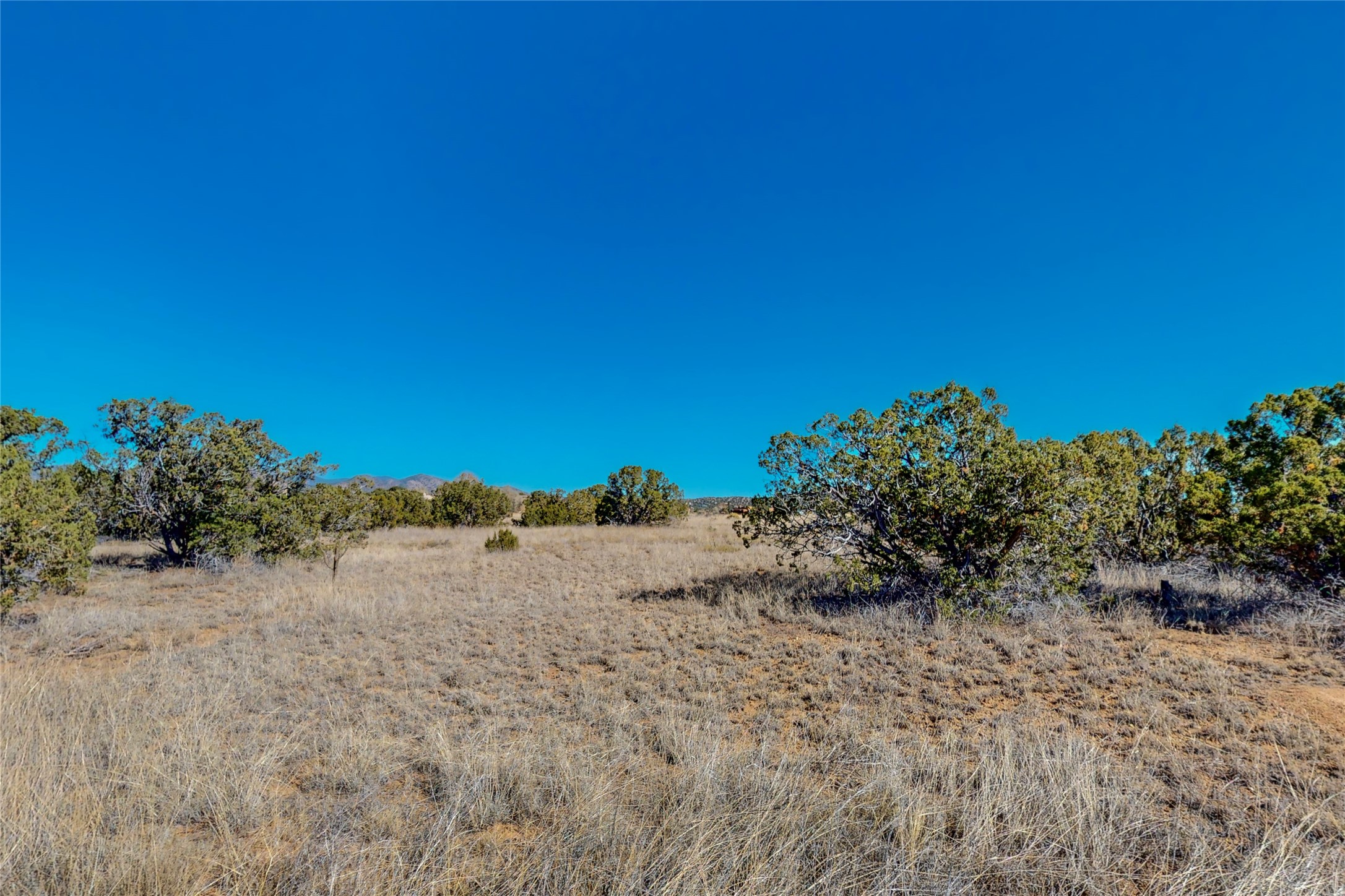 0 Vista Grande/Monte Alto
