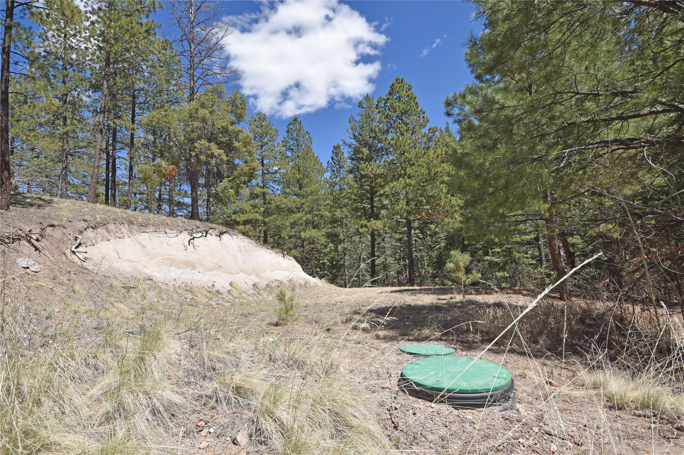 86 Vista Loop