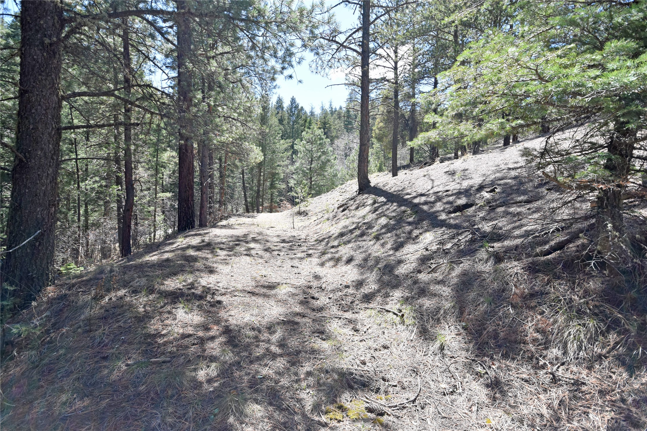 86 Vista Loop