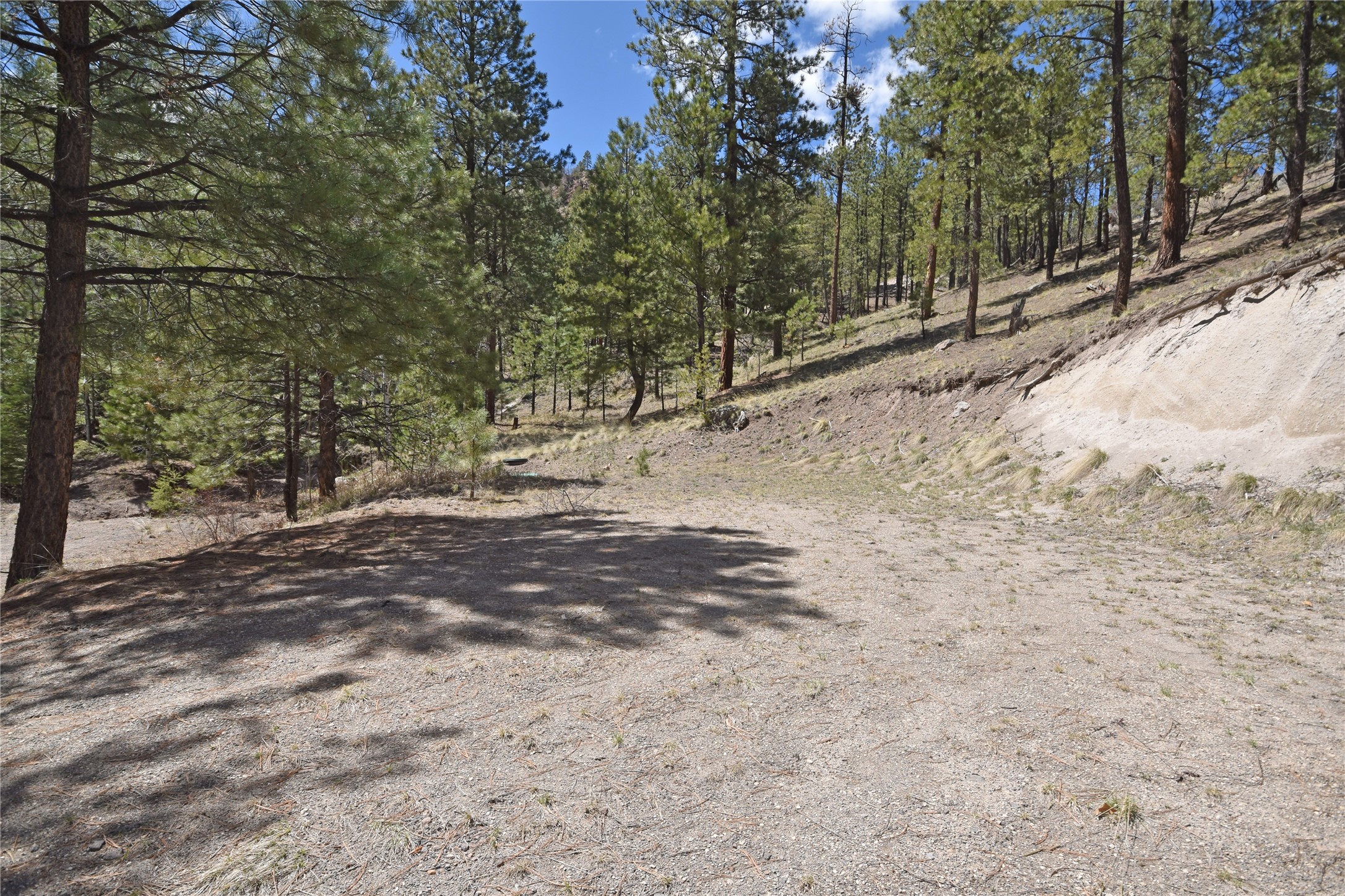 86 Vista Loop