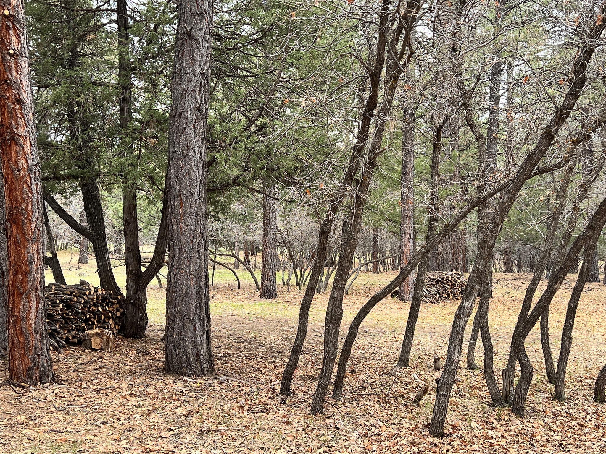 492 State Rd 512