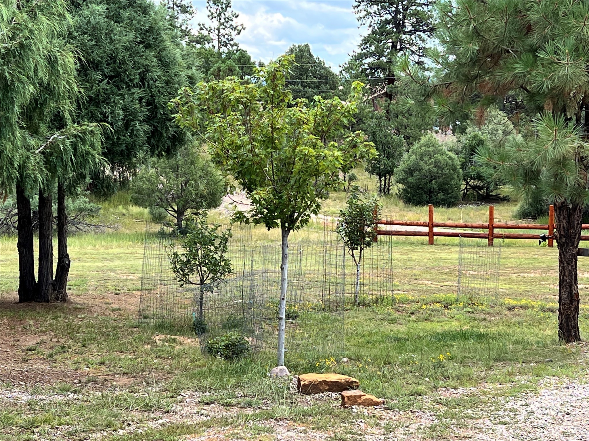 13 Laguna Vista Drive