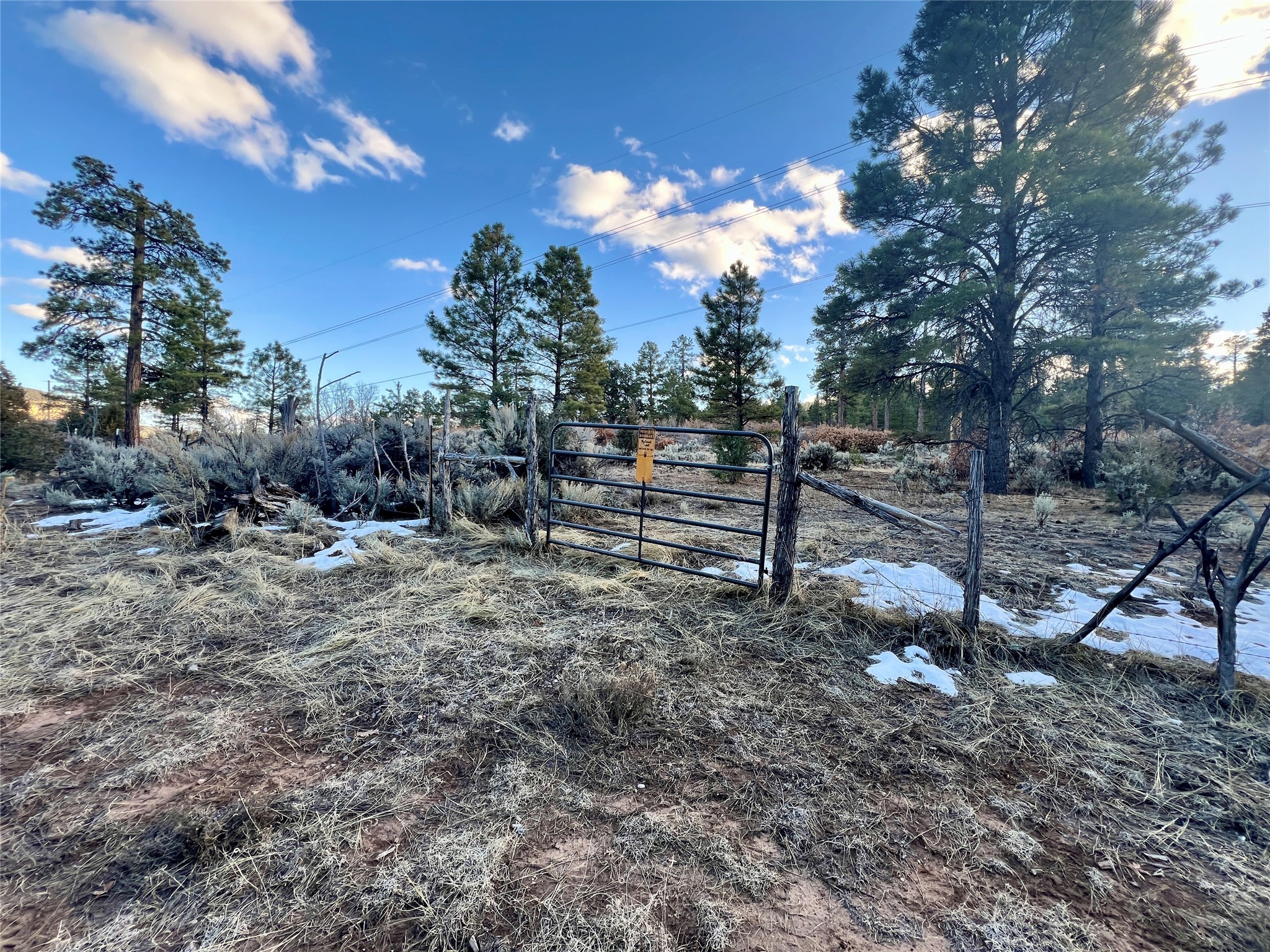 80 County Road 419