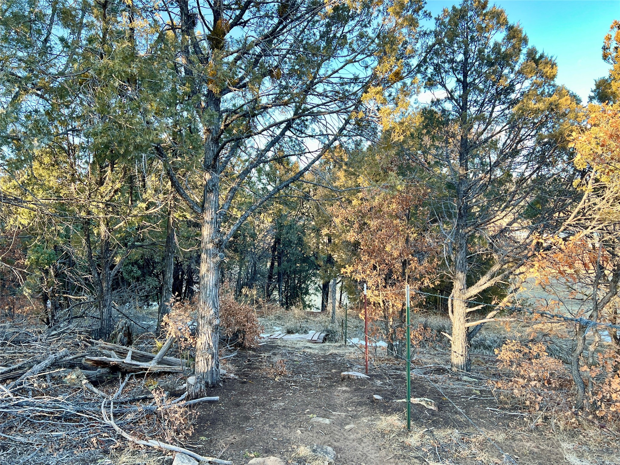 80 County Road 419