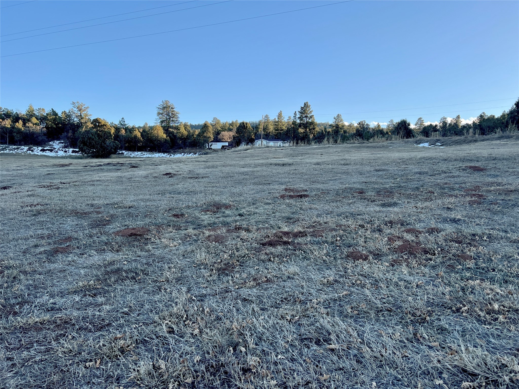 80 County Road 419