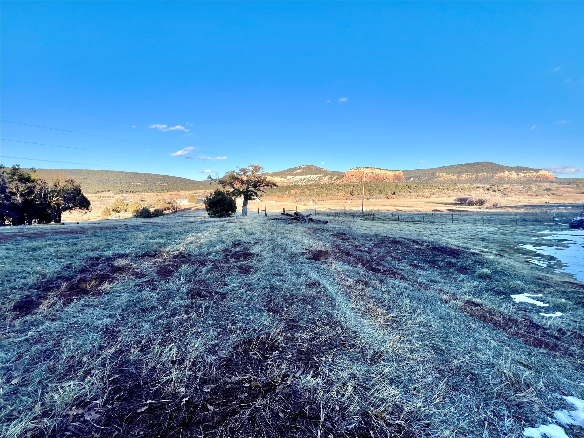 80 County Road 419