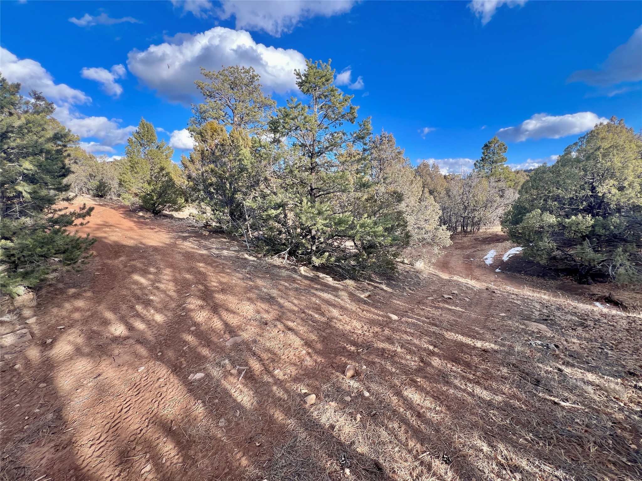 80 County Road 419