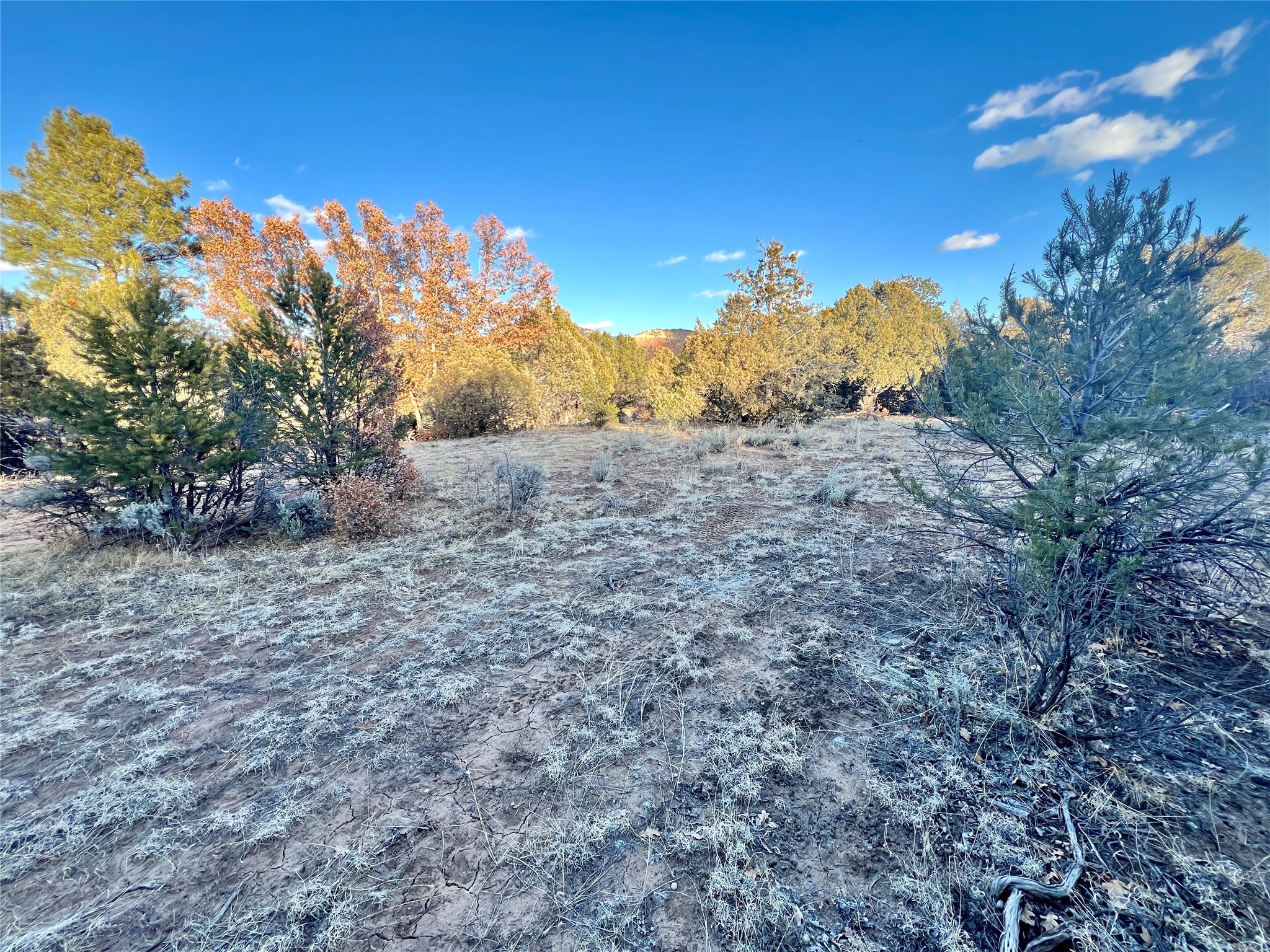 80 County Road 419