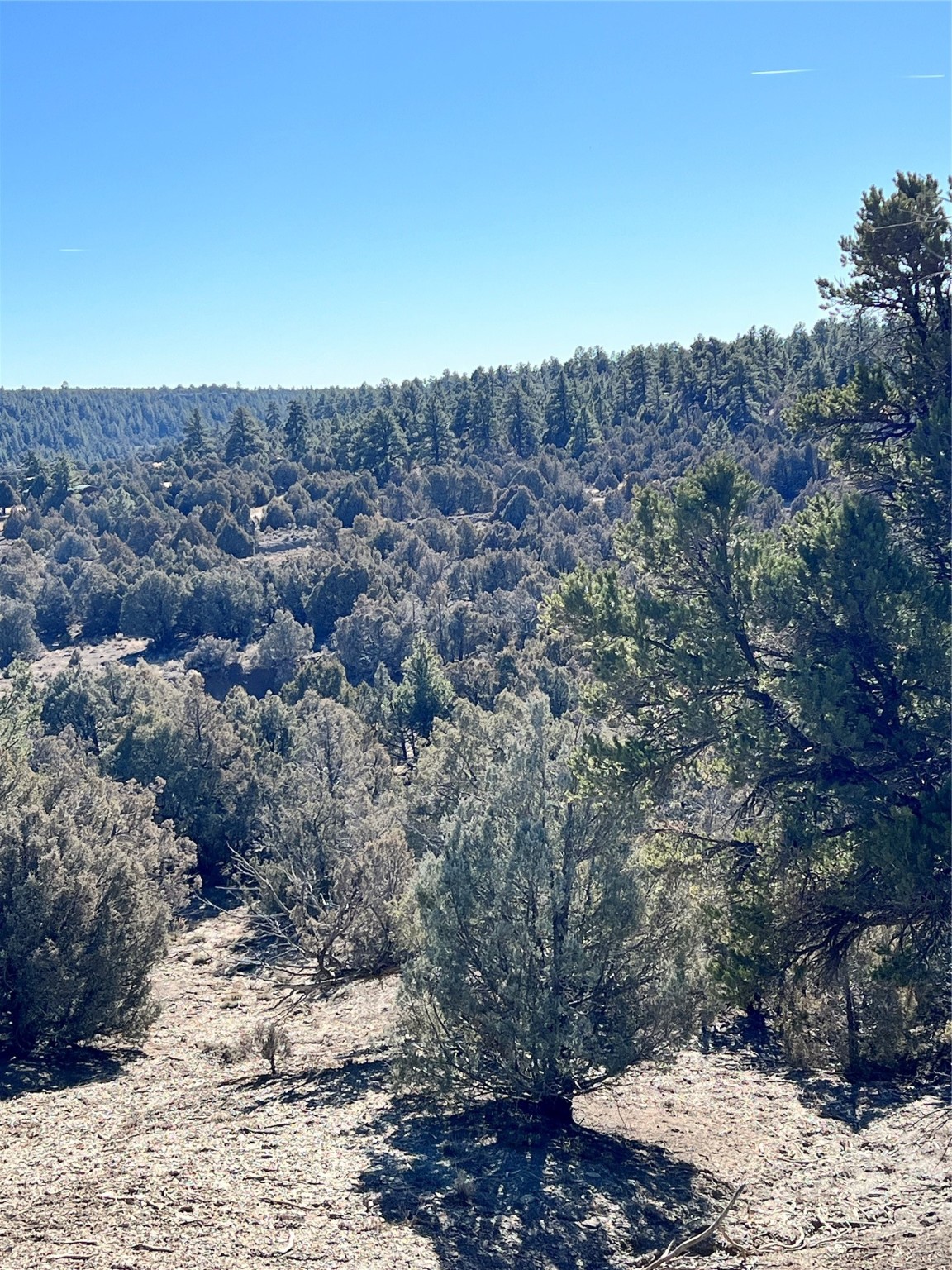 0 Willow Creek