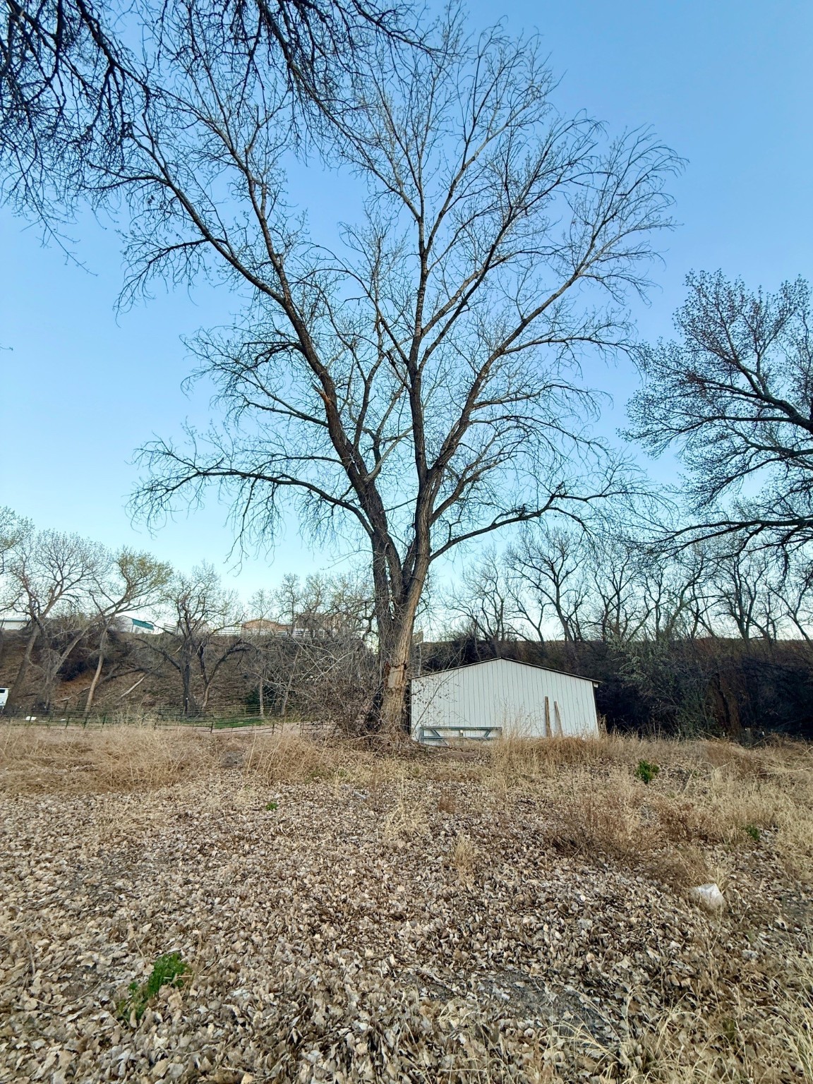 56 County RD 126C