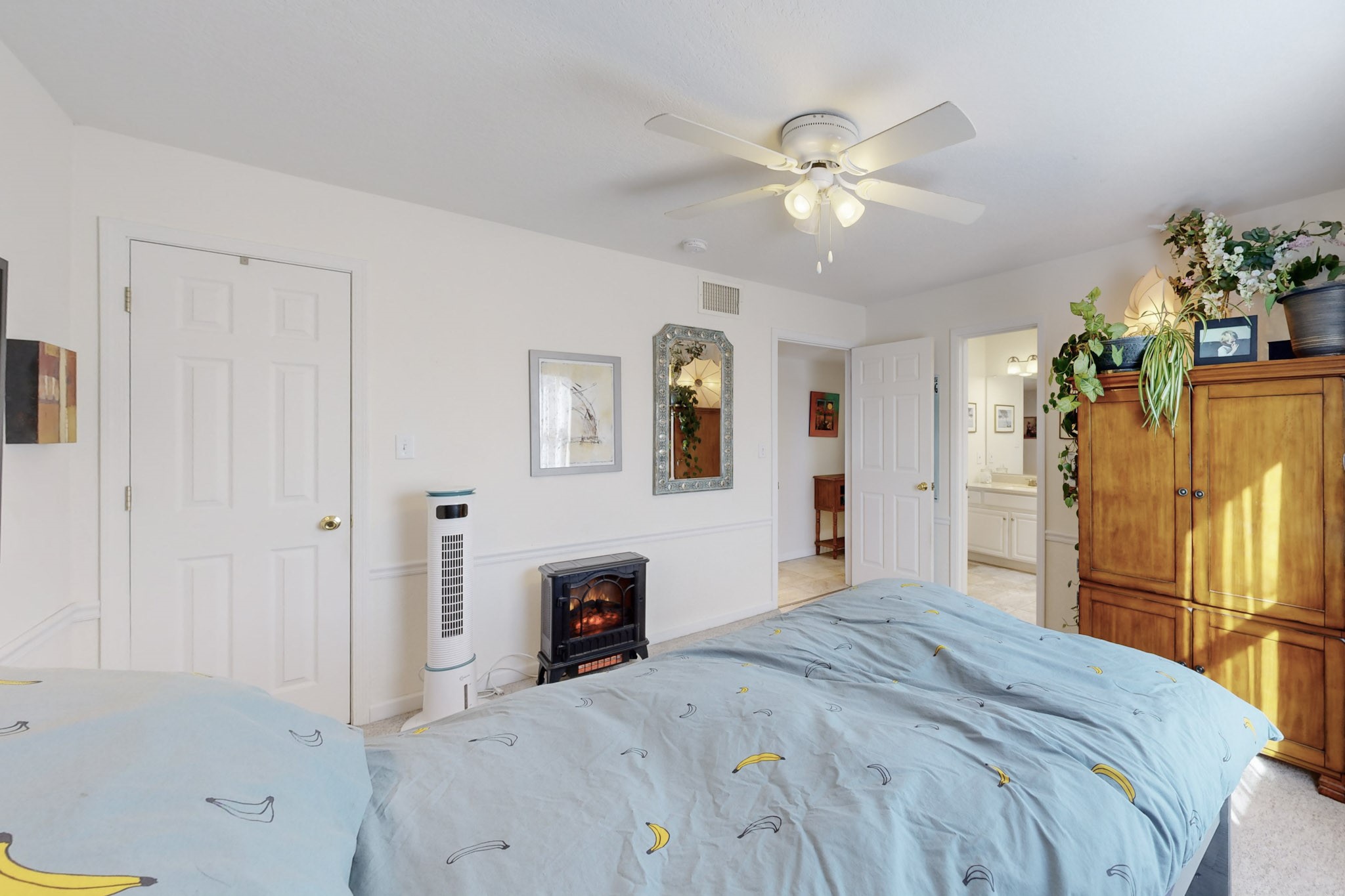 1153 Calle Amanda
