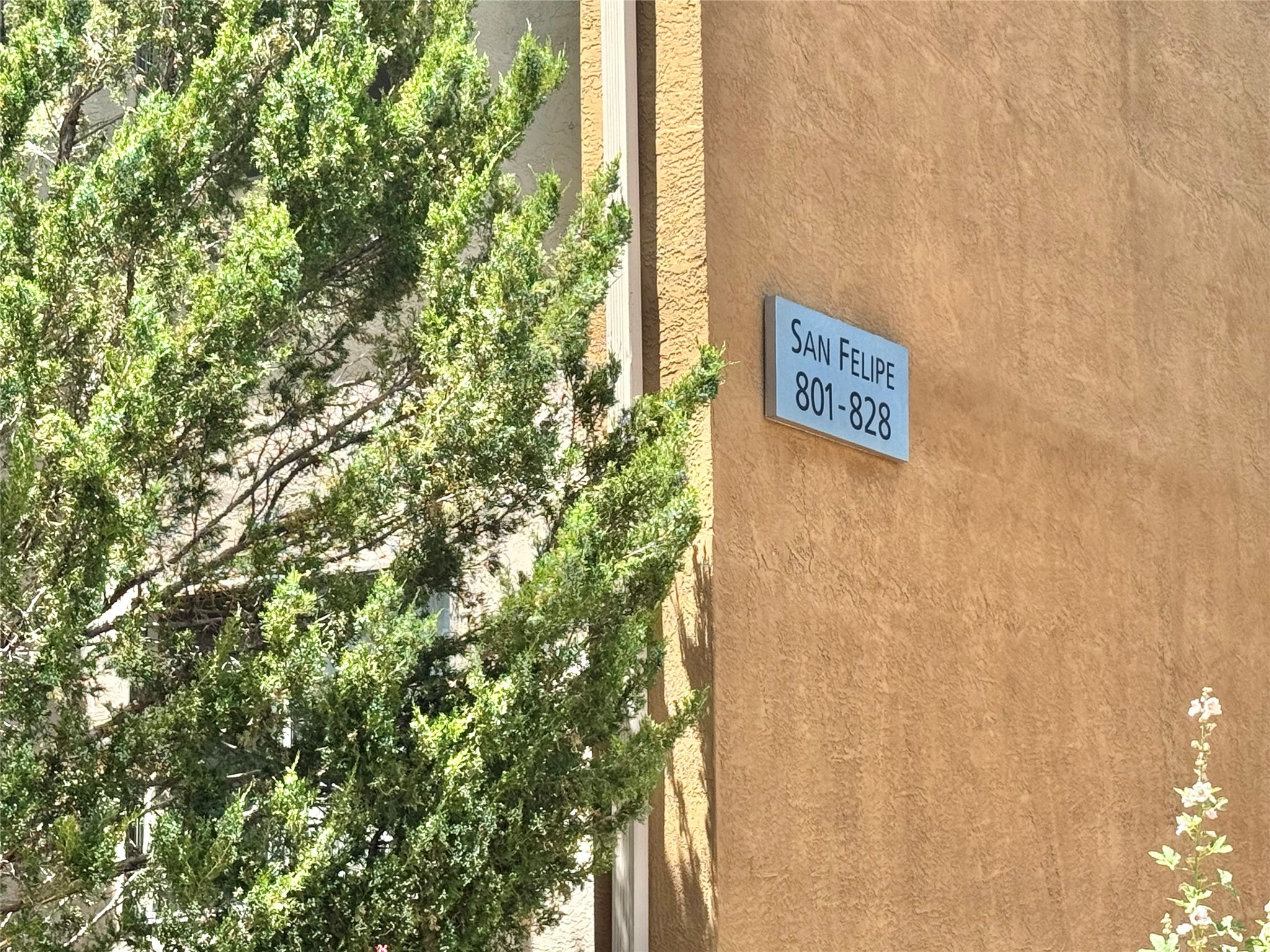 941 Calle Mejia 825