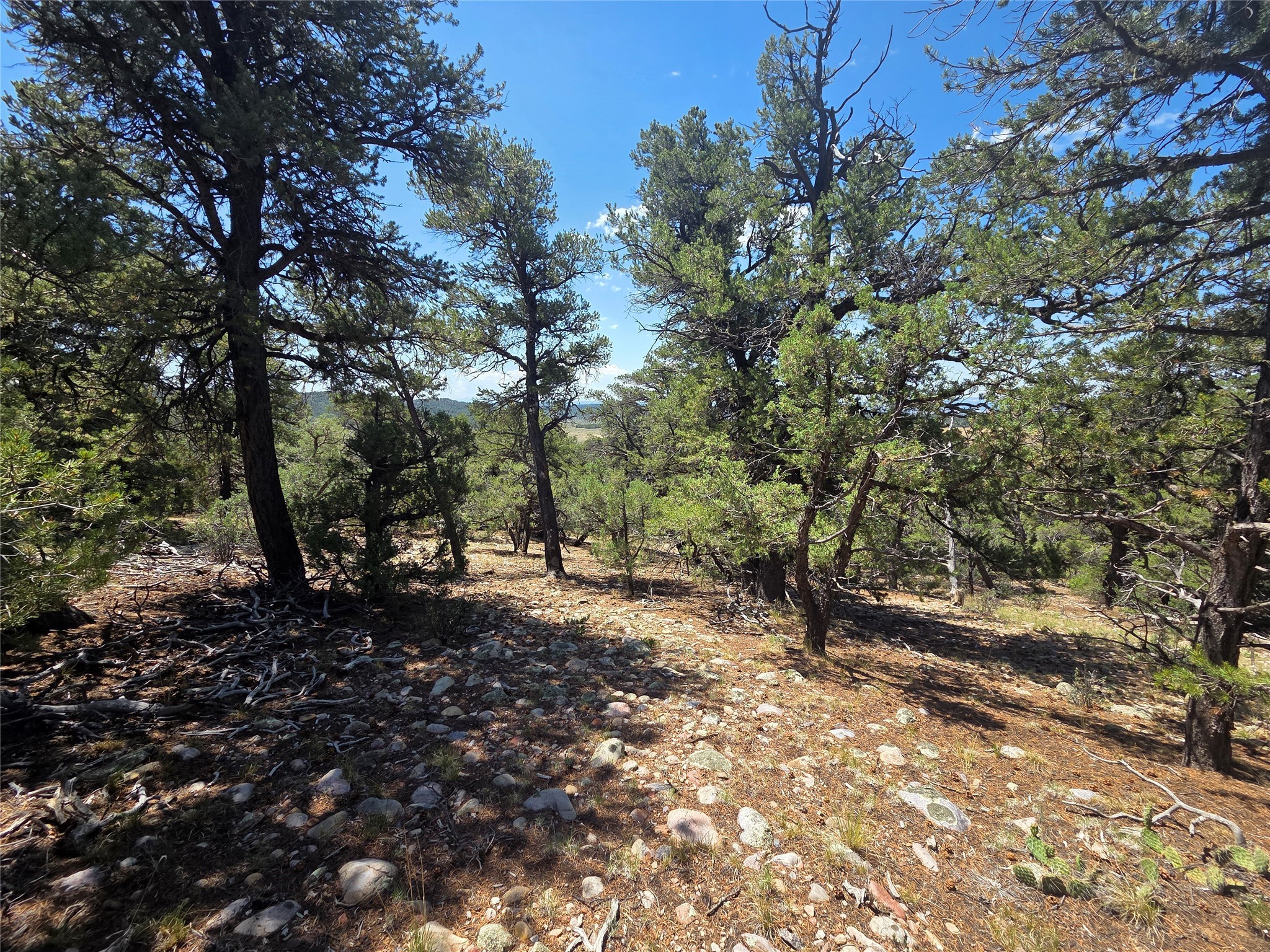 Lot 16 Unit 4
