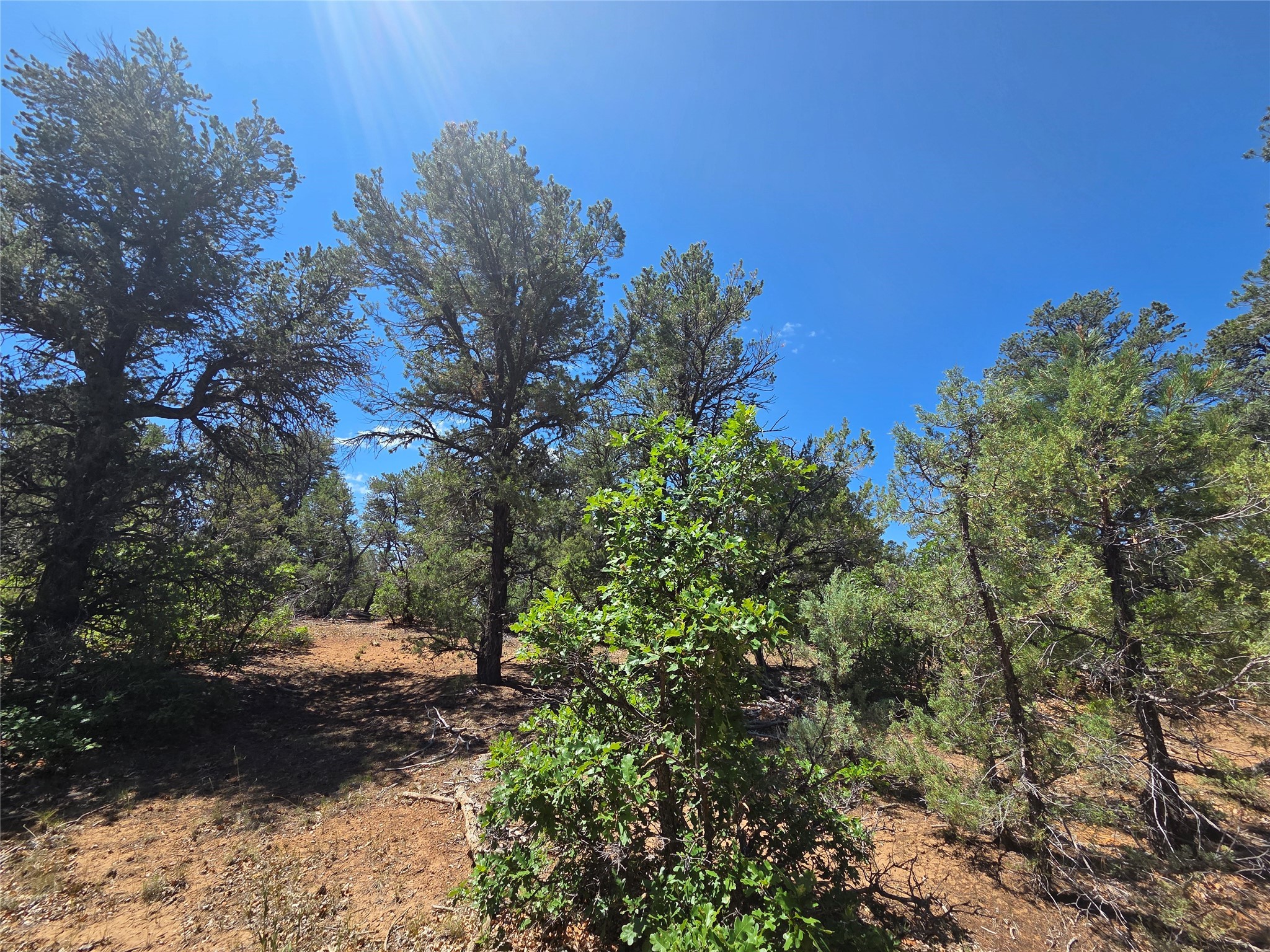 Lot 16 Unit 4
