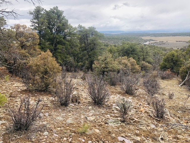 Lot 16 Unit 4