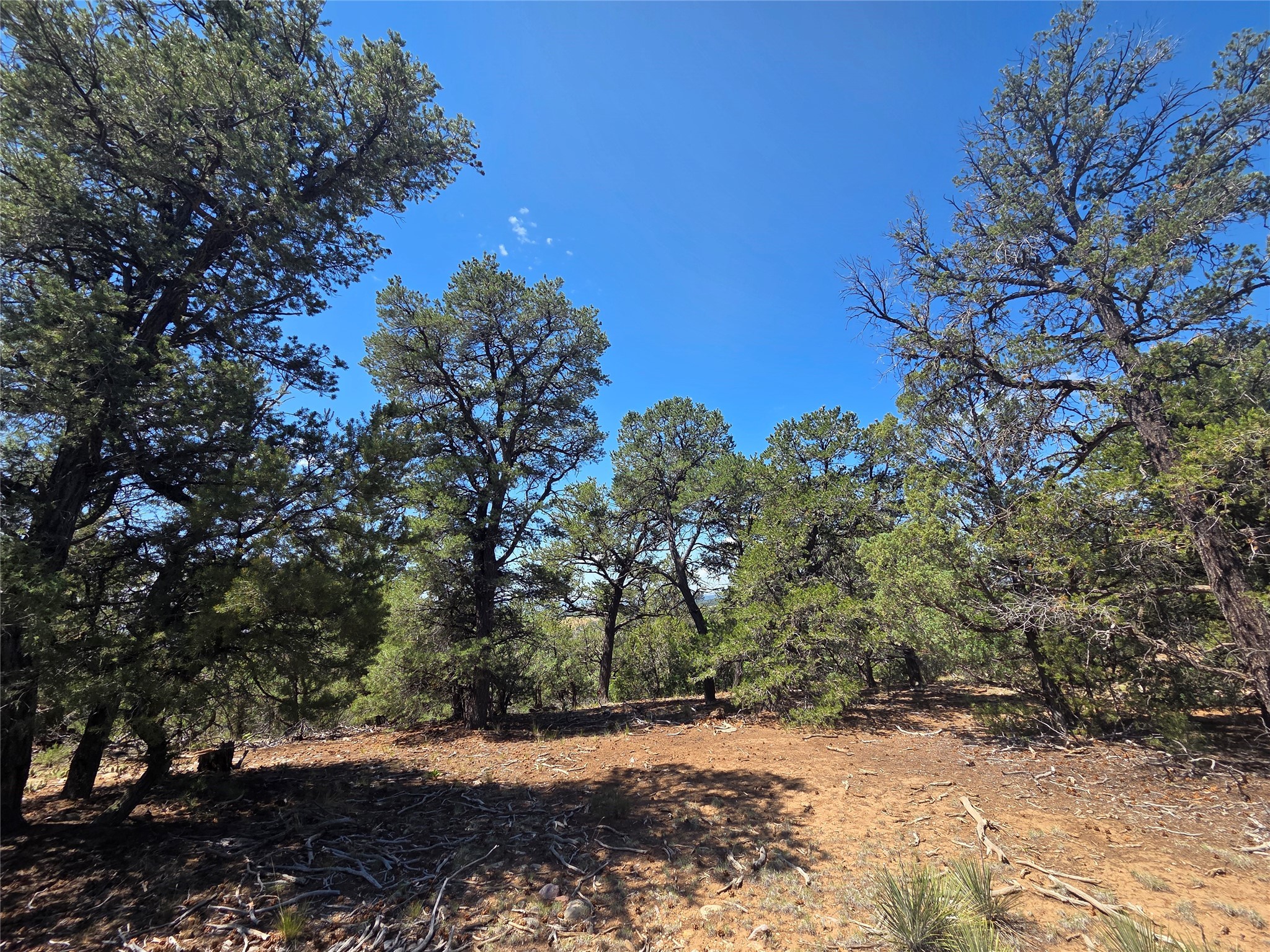 Lot 16 Unit 4