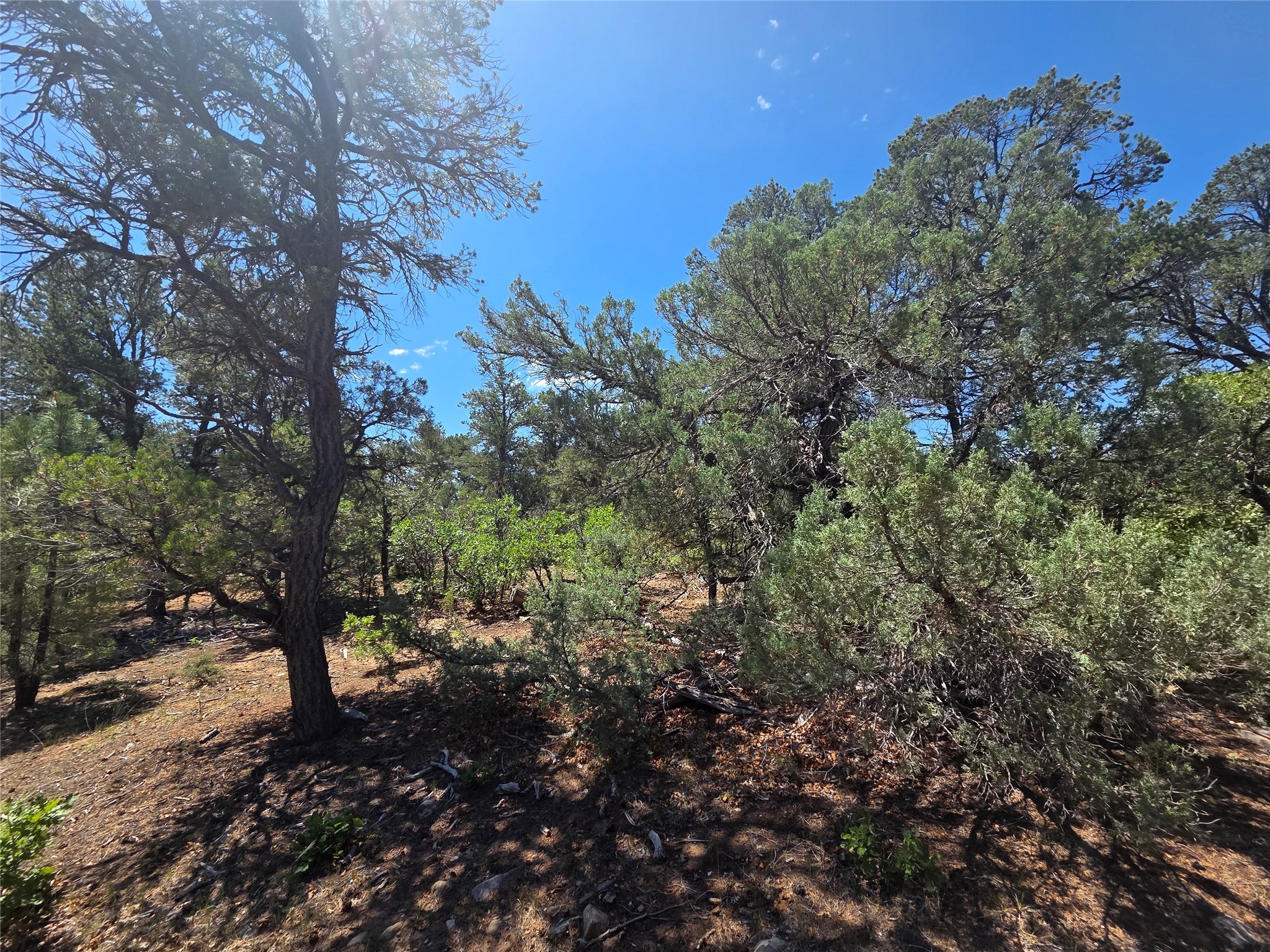 Lot 16 Unit 4