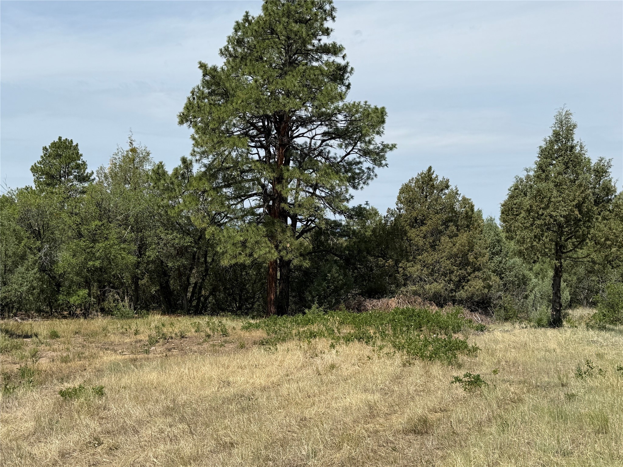 0 Elk Drive