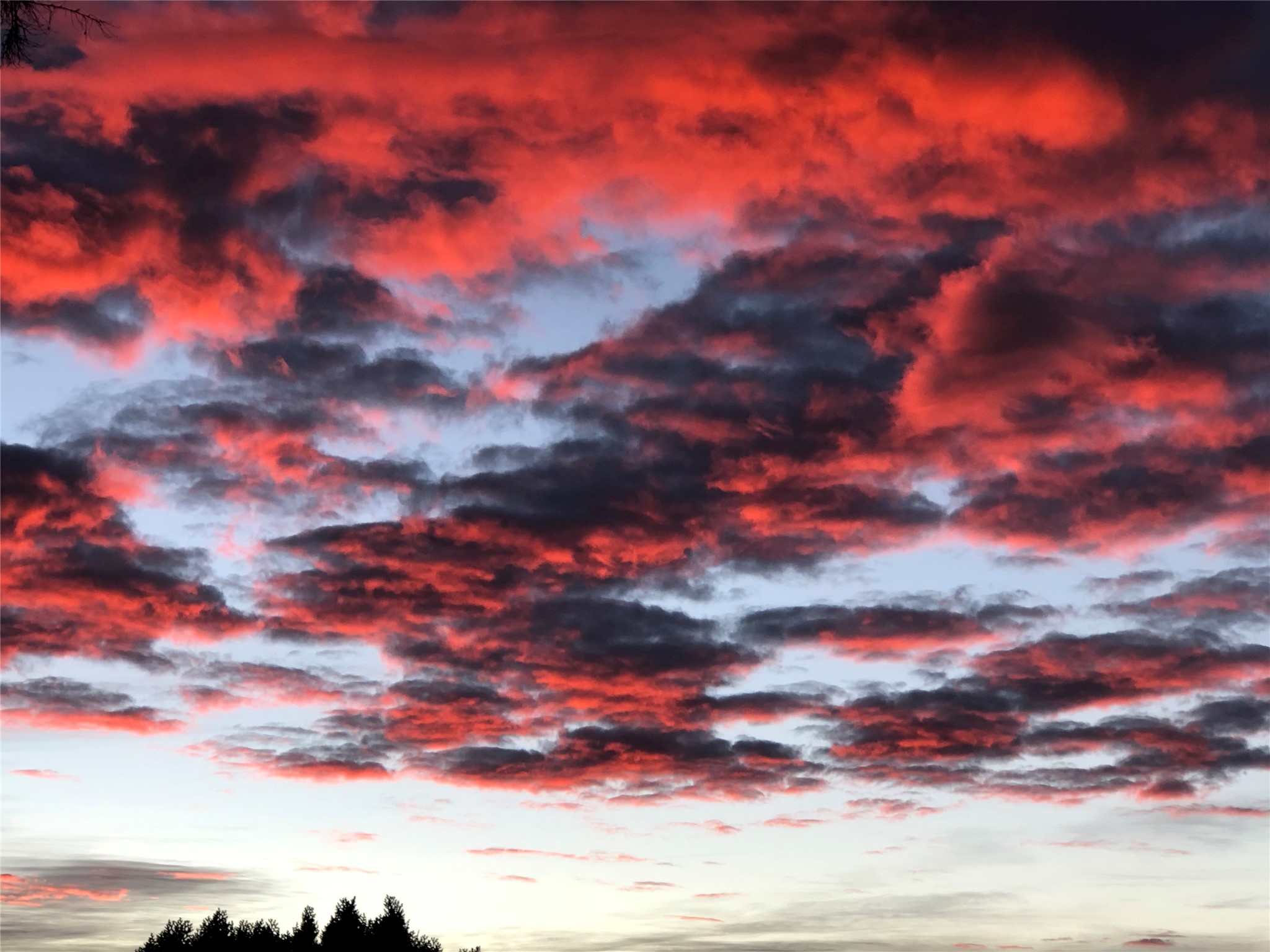 4228 Roadrunner Lane