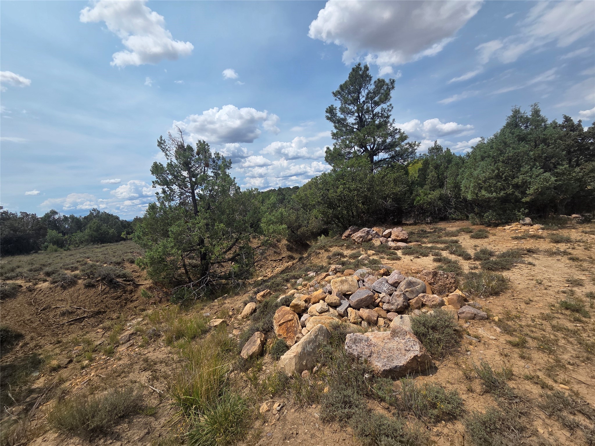 191 County Road 341