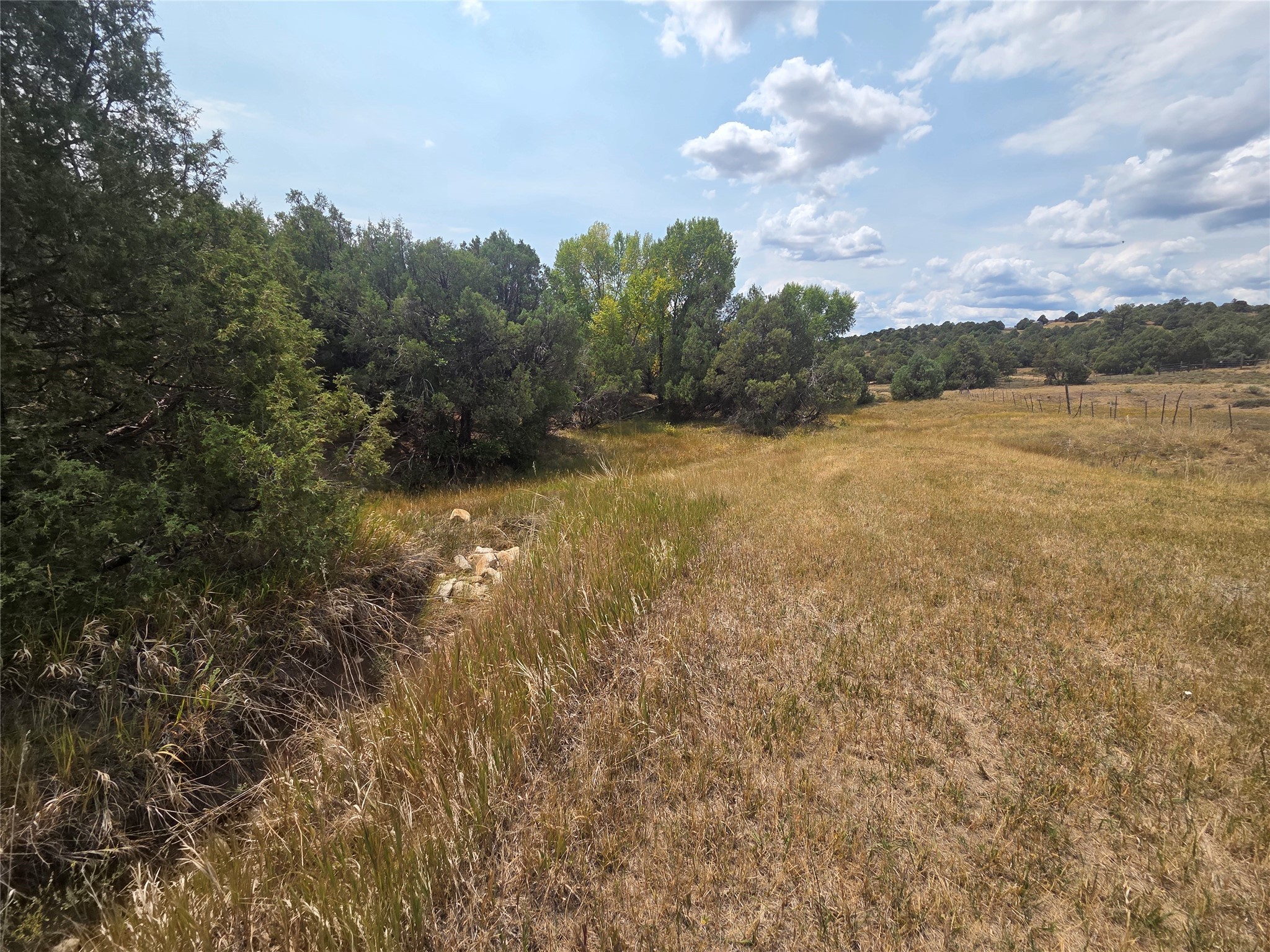 191 County Road 341