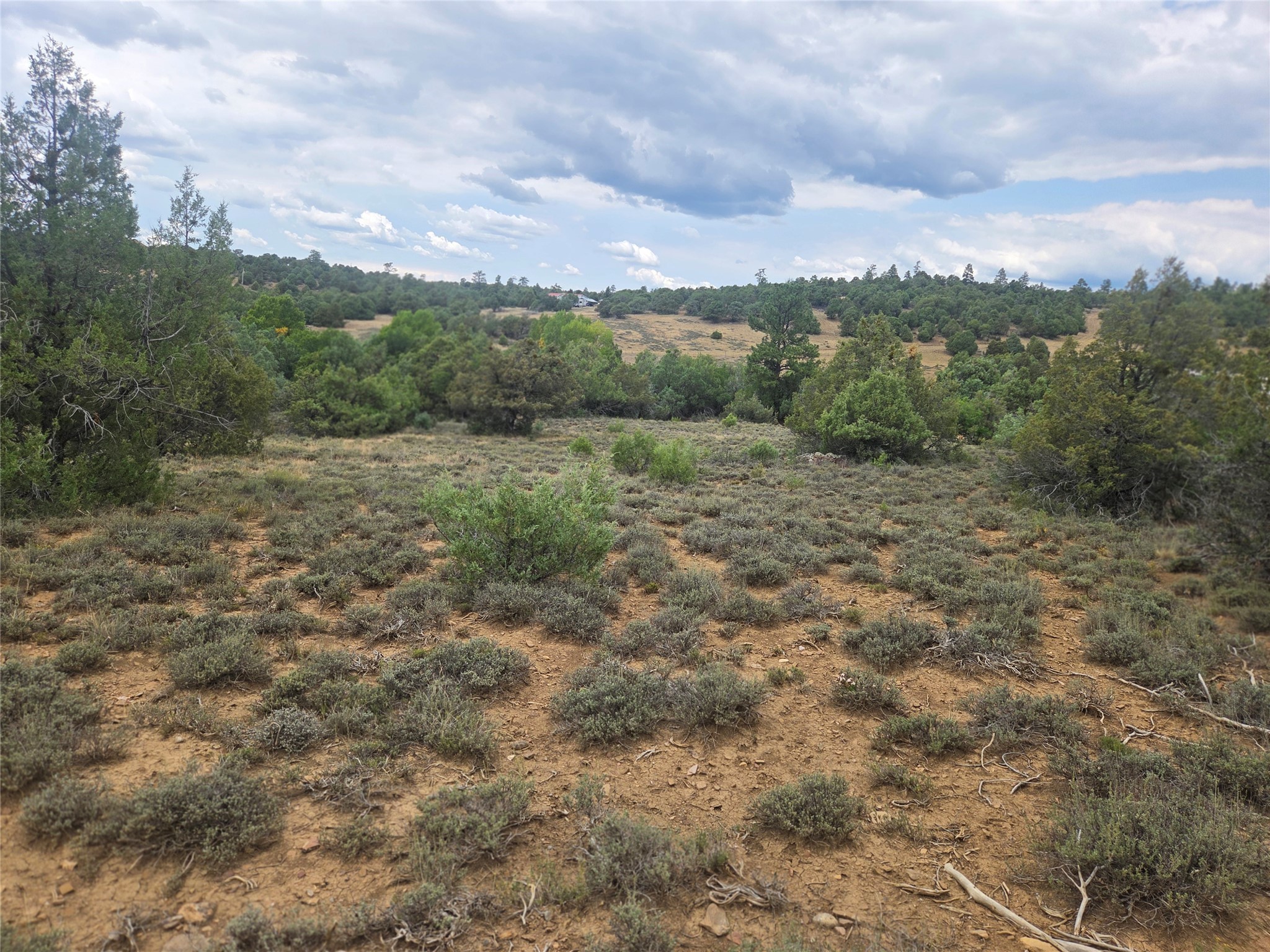 191 County Road 341