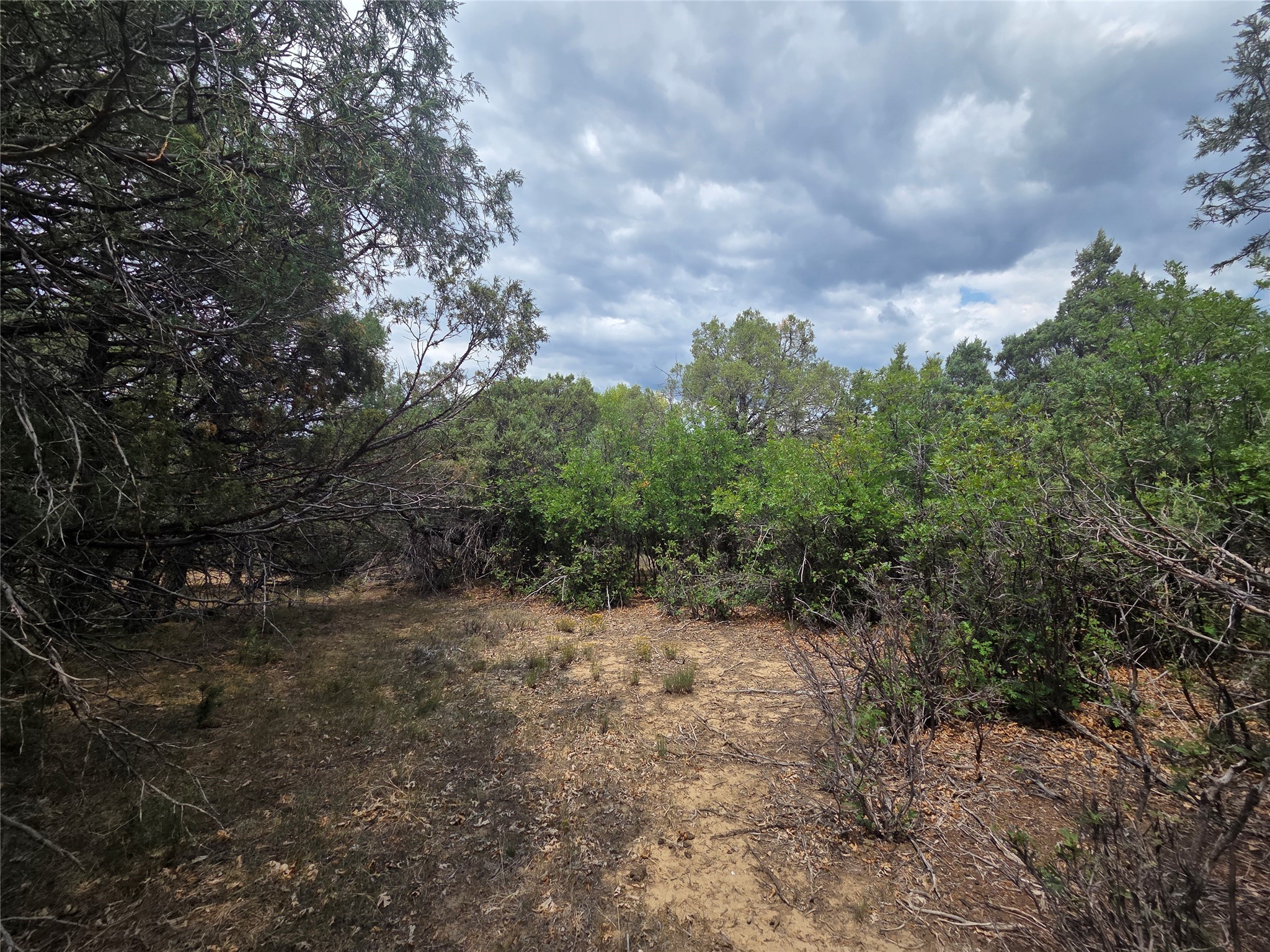 191 County Road 341