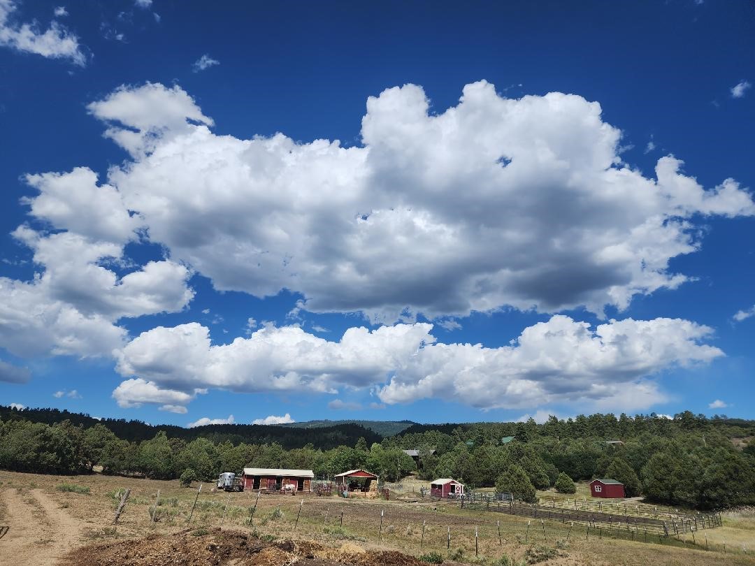 191 County Road 341