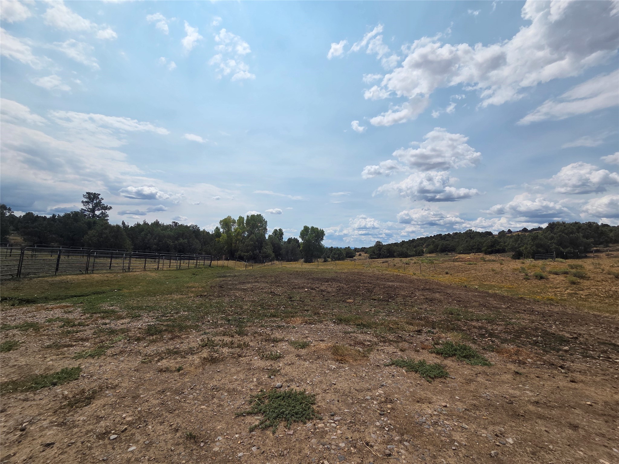 191 County Road 341
