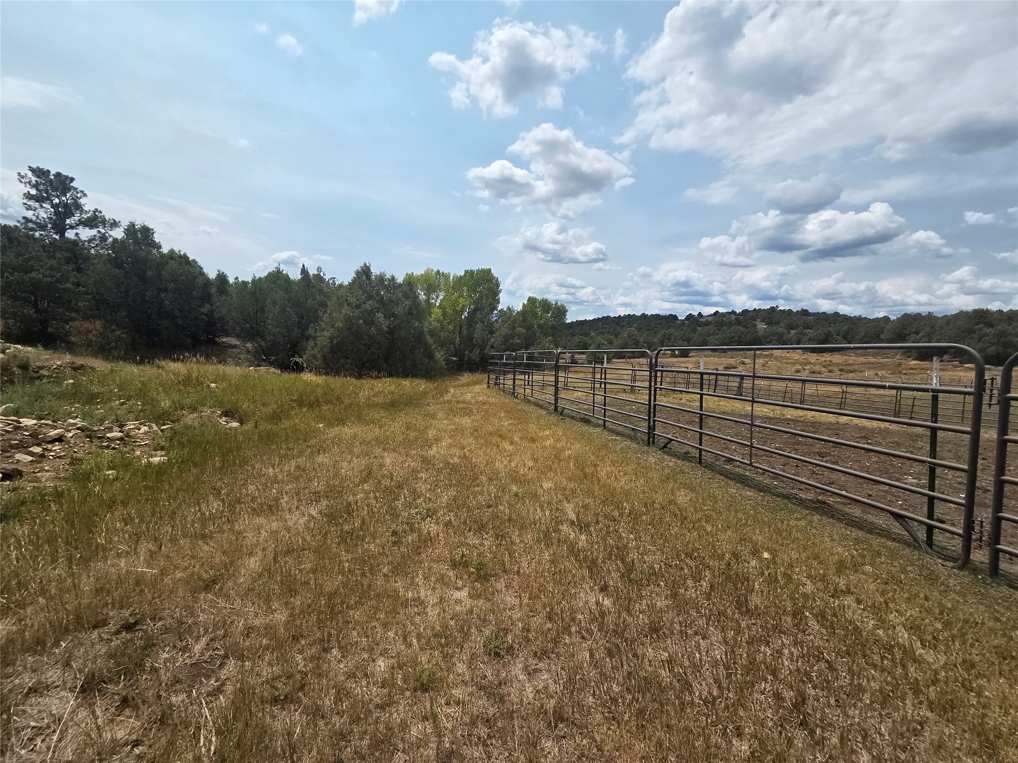 191 County Road 341