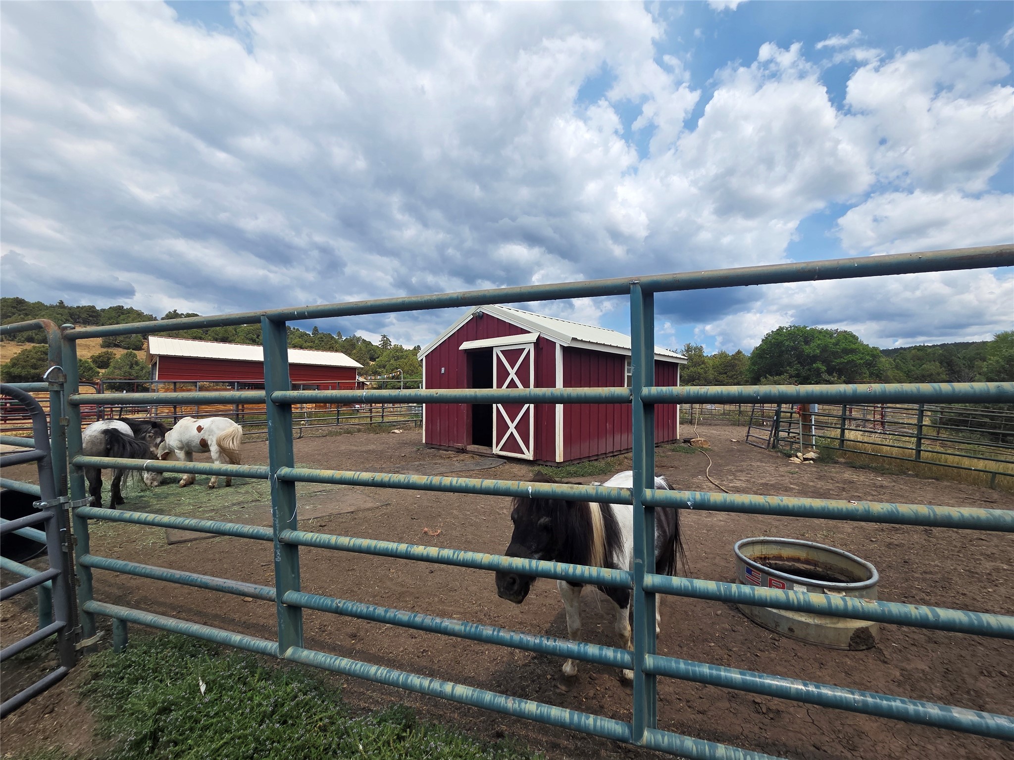 191 County Road 341
