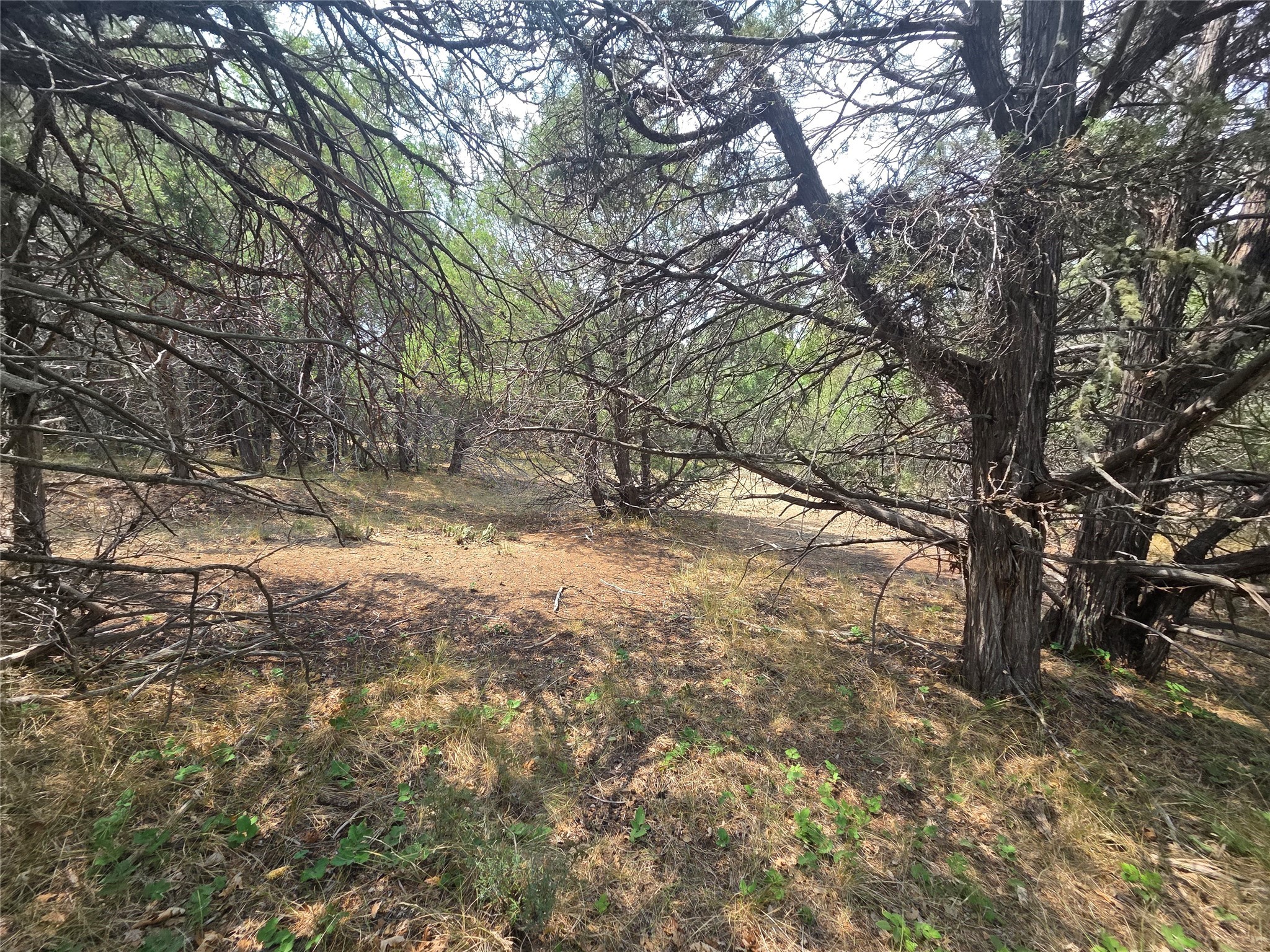 191 County Road 341