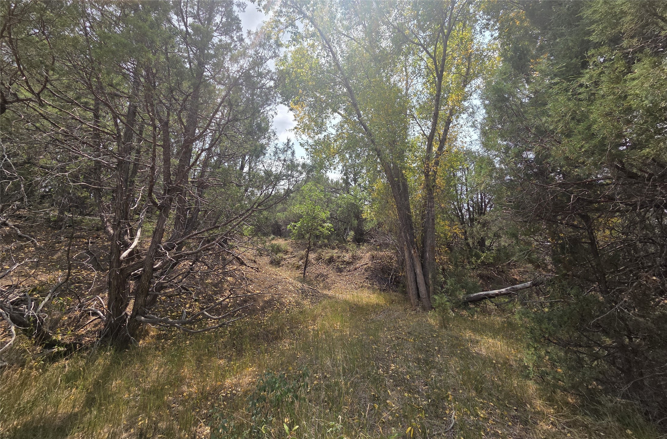 191 County Road 341