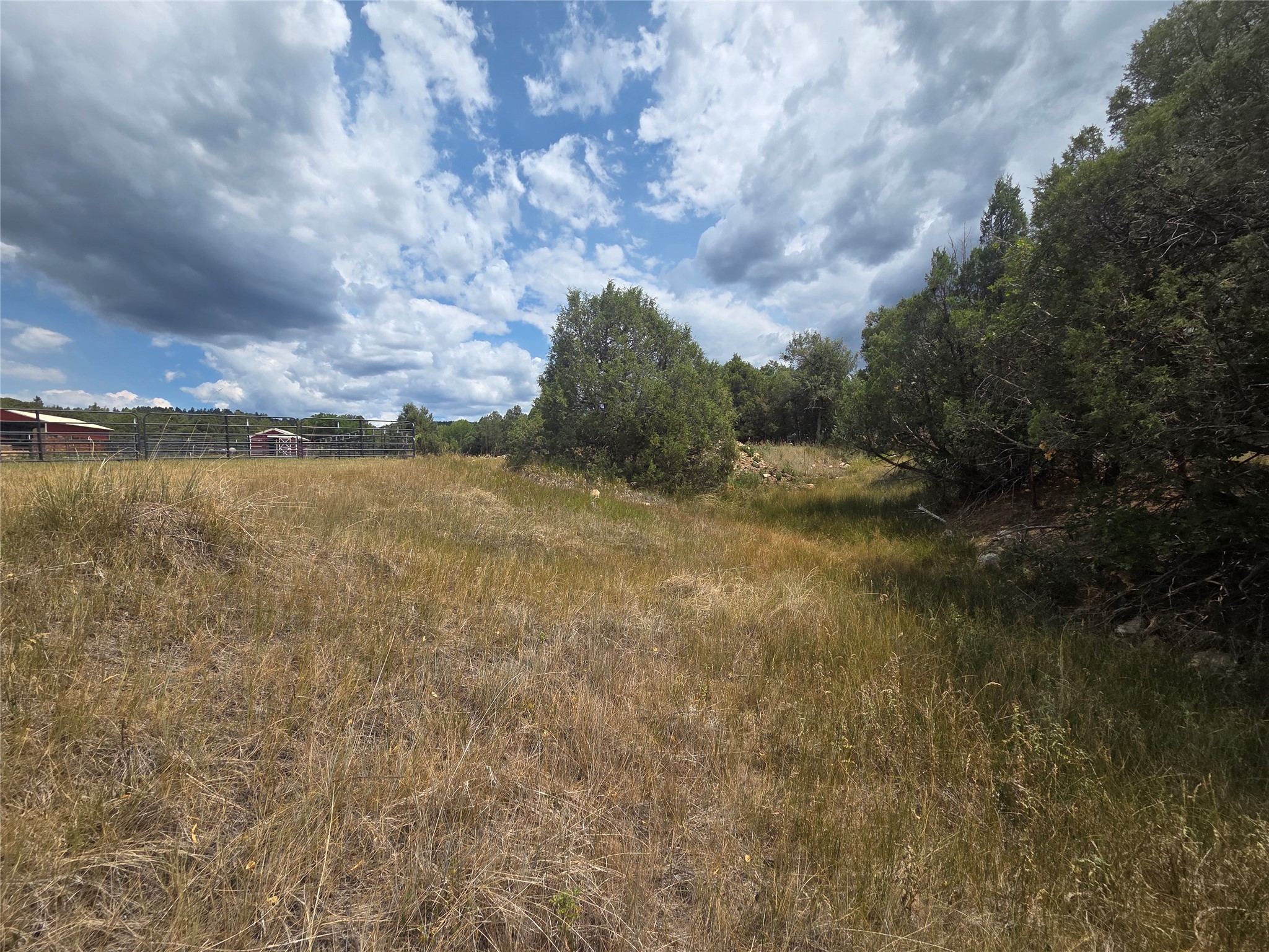 191 County Road 341