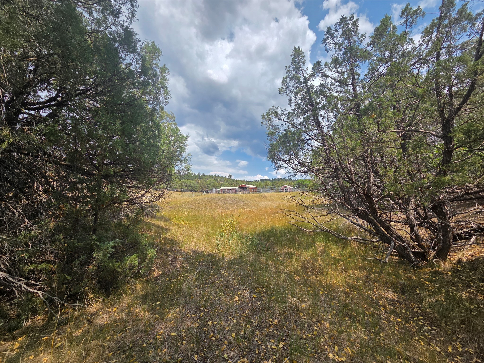 191 County Road 341
