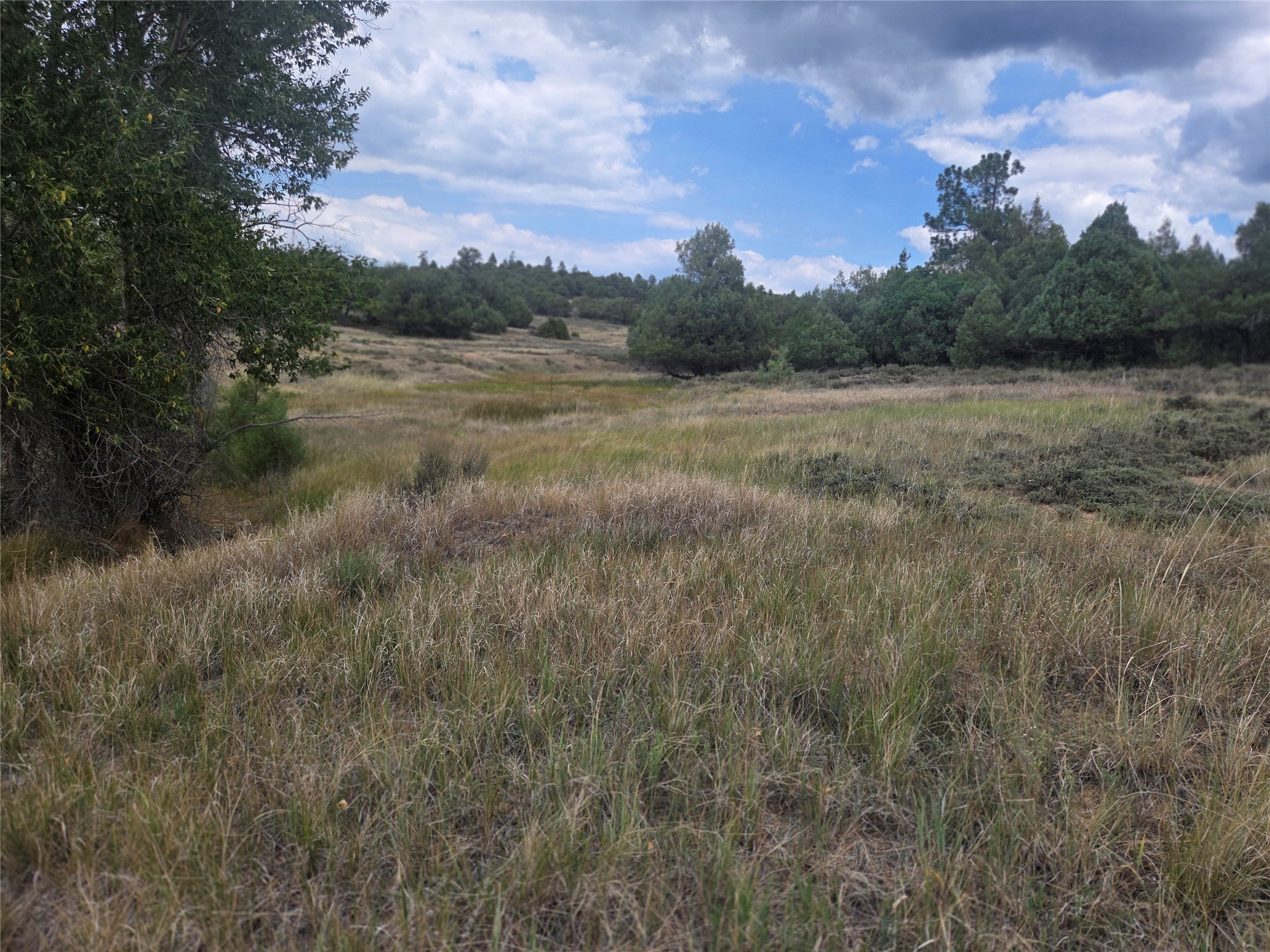 191 County Road 341