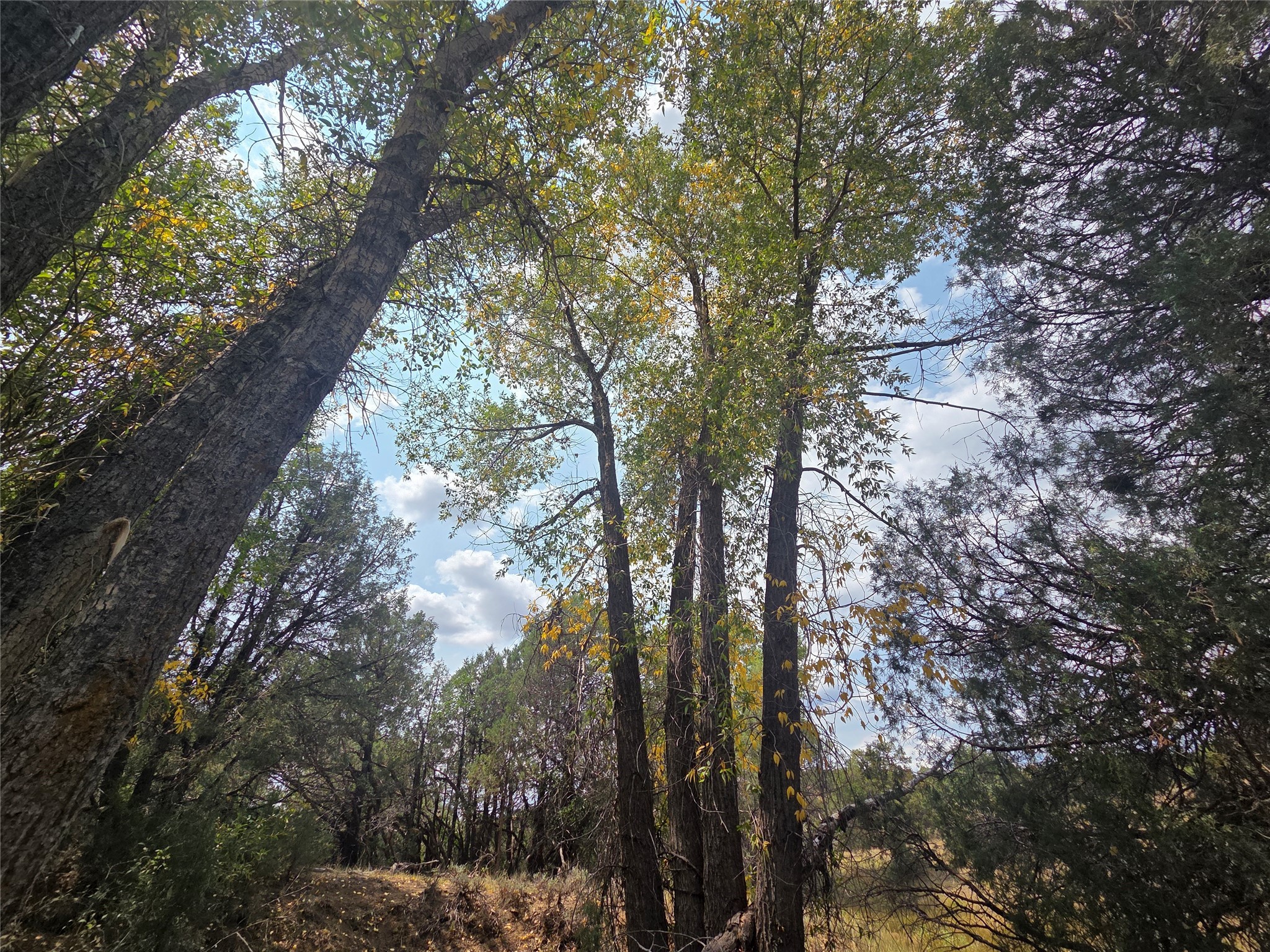 191 County Road 341